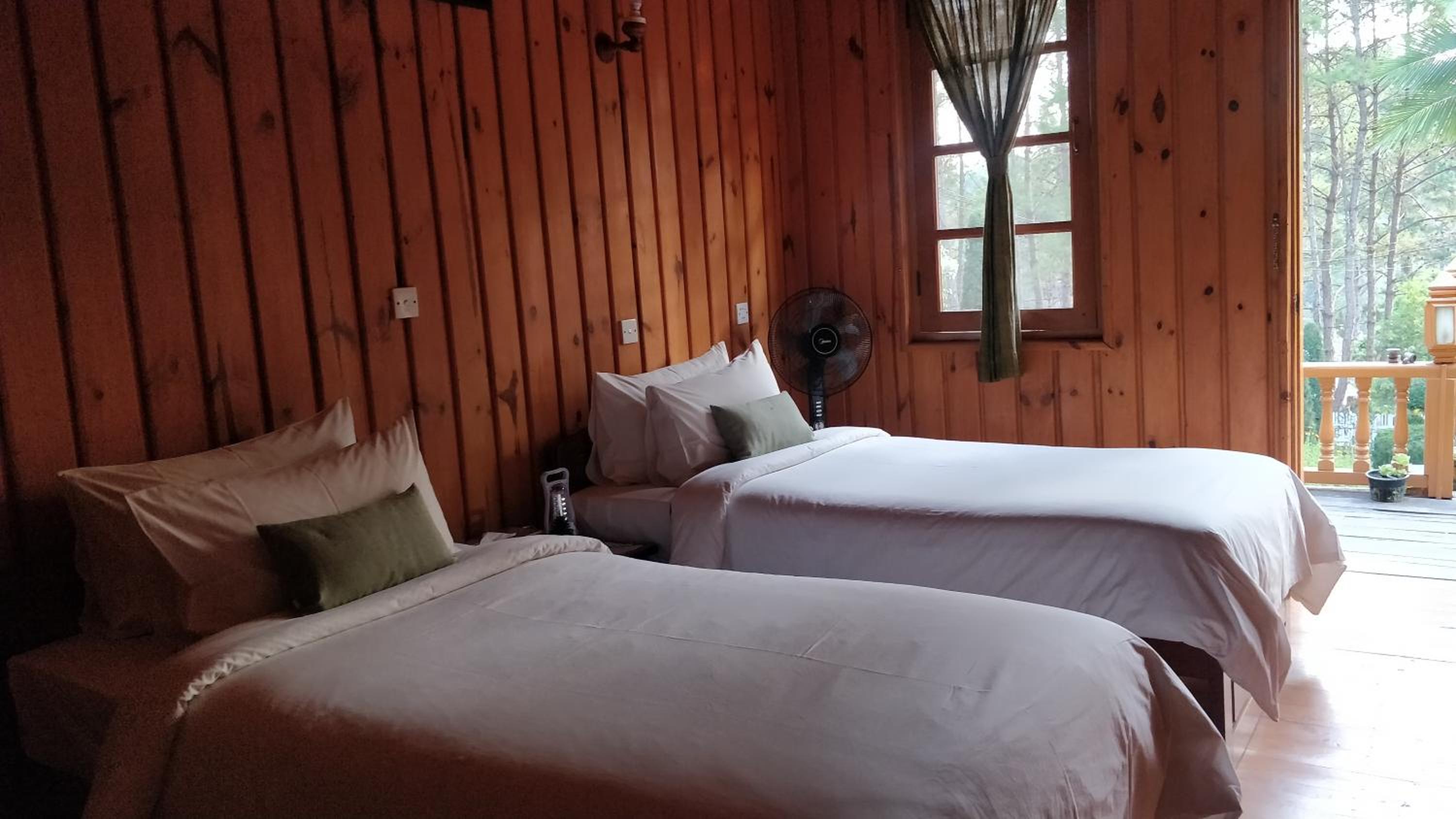 Twin Room photo 3