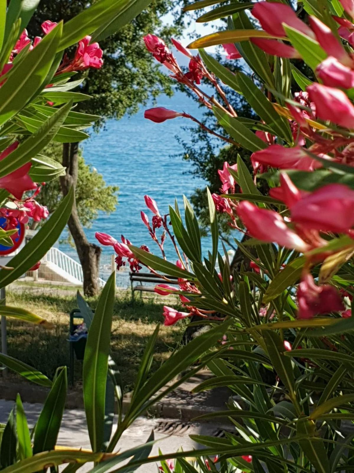 Apartment with Sea View photo 3