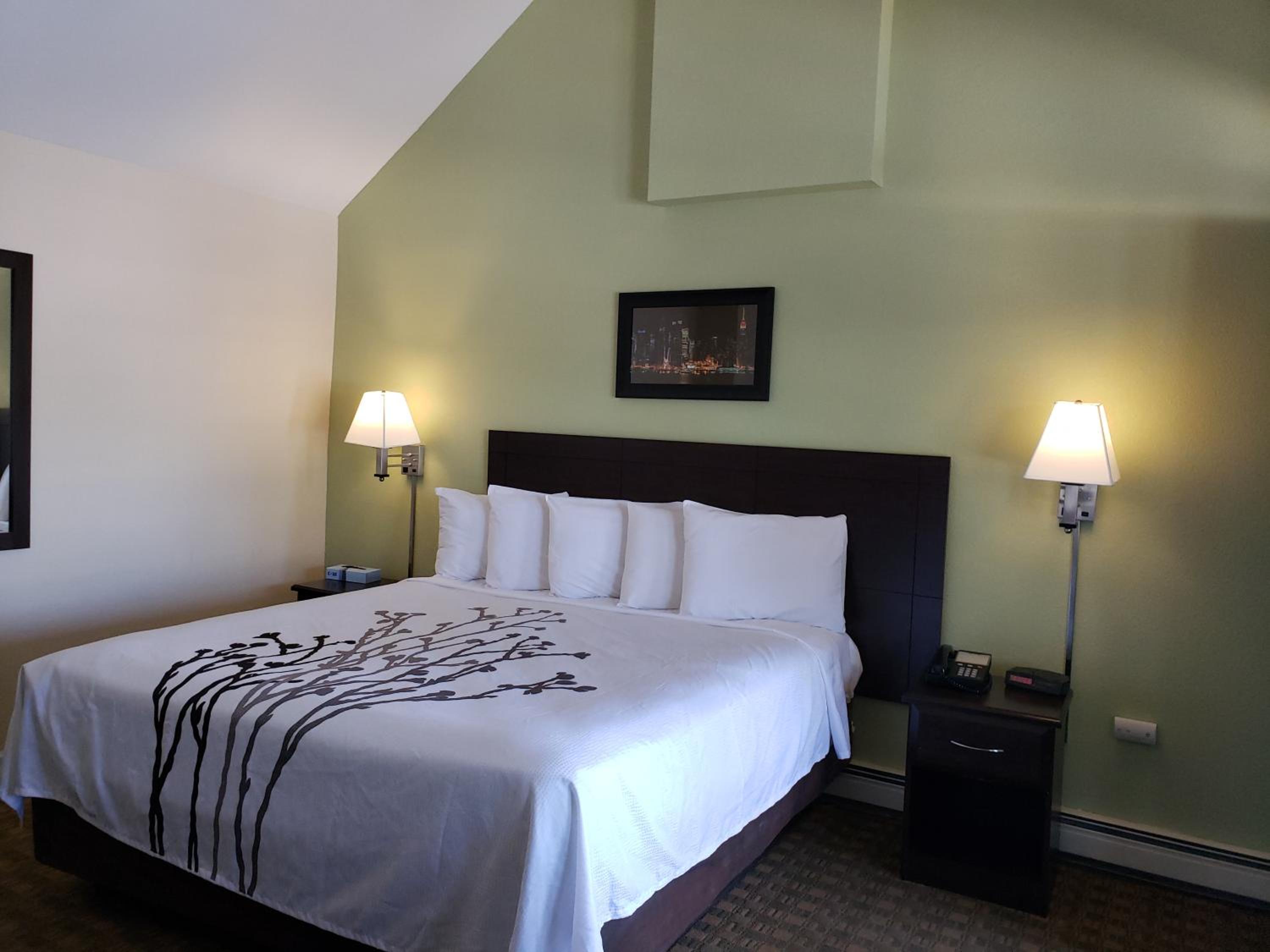 King Room - Disability Access - Photo 3