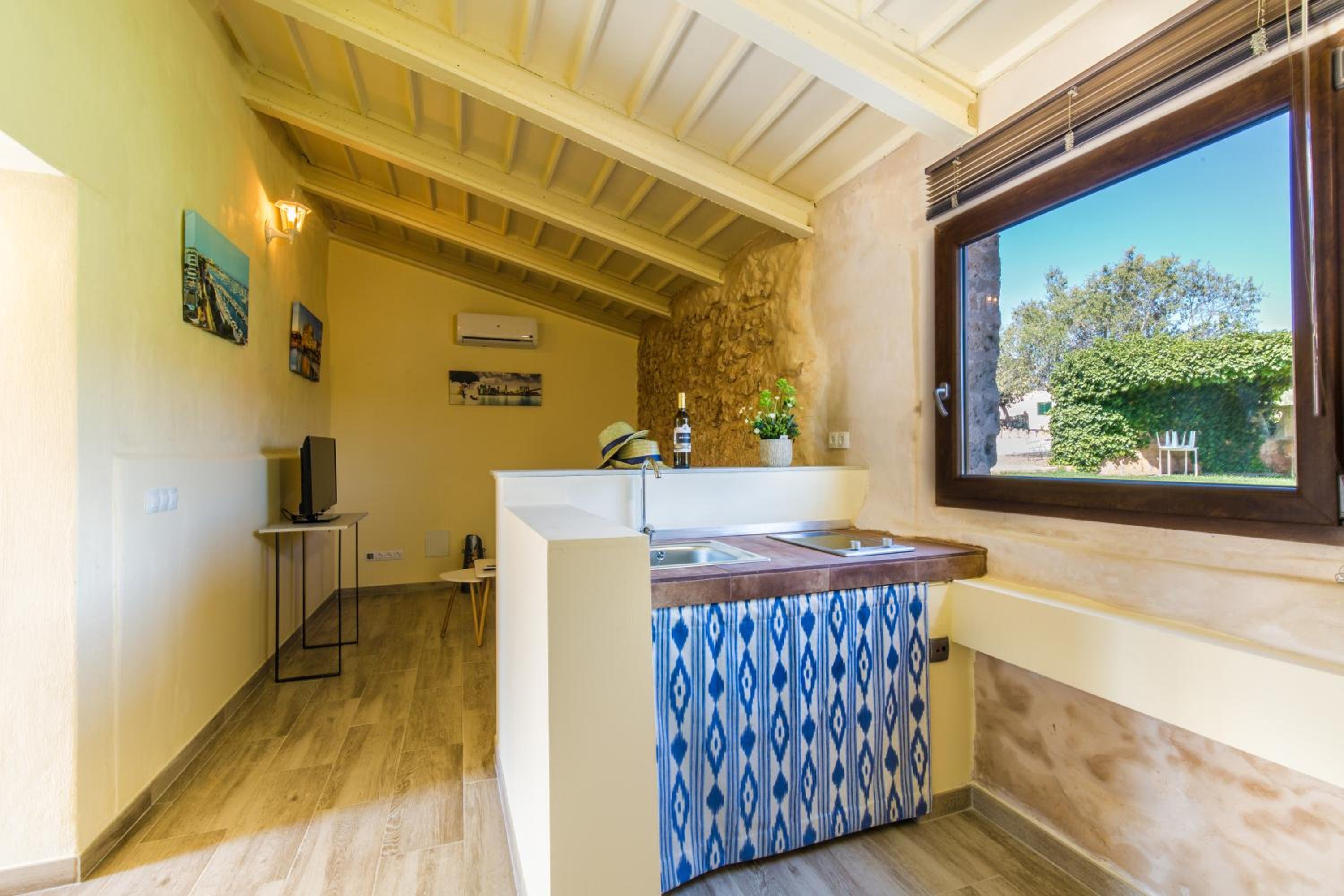 Apartment with Terrace photo 3