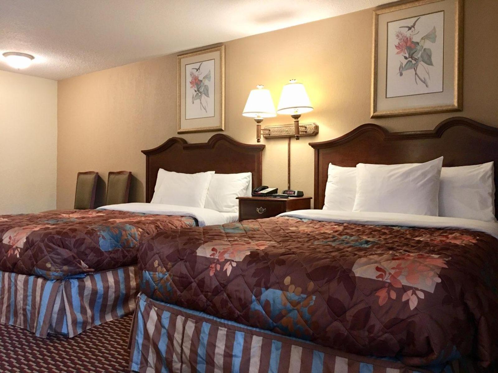 Double Room with Two Double Beds photo 2
