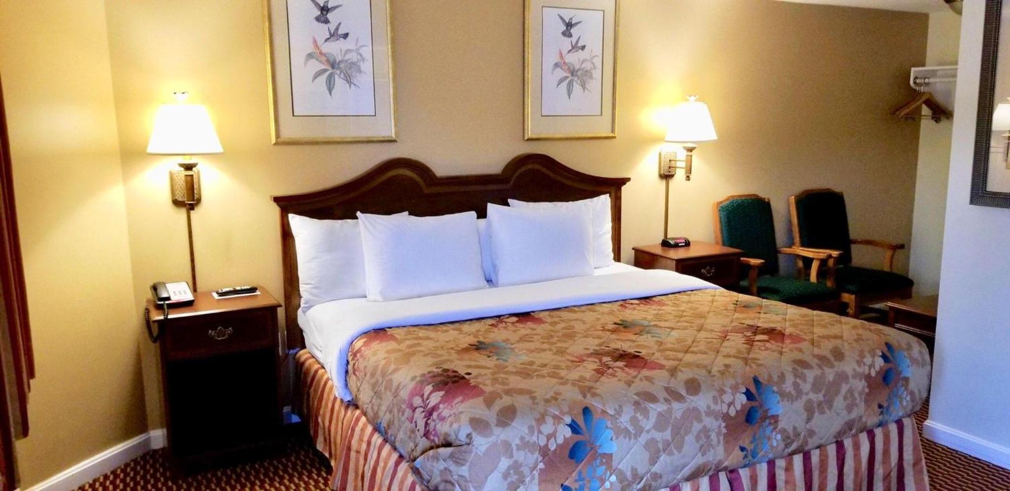 King Room photo 1