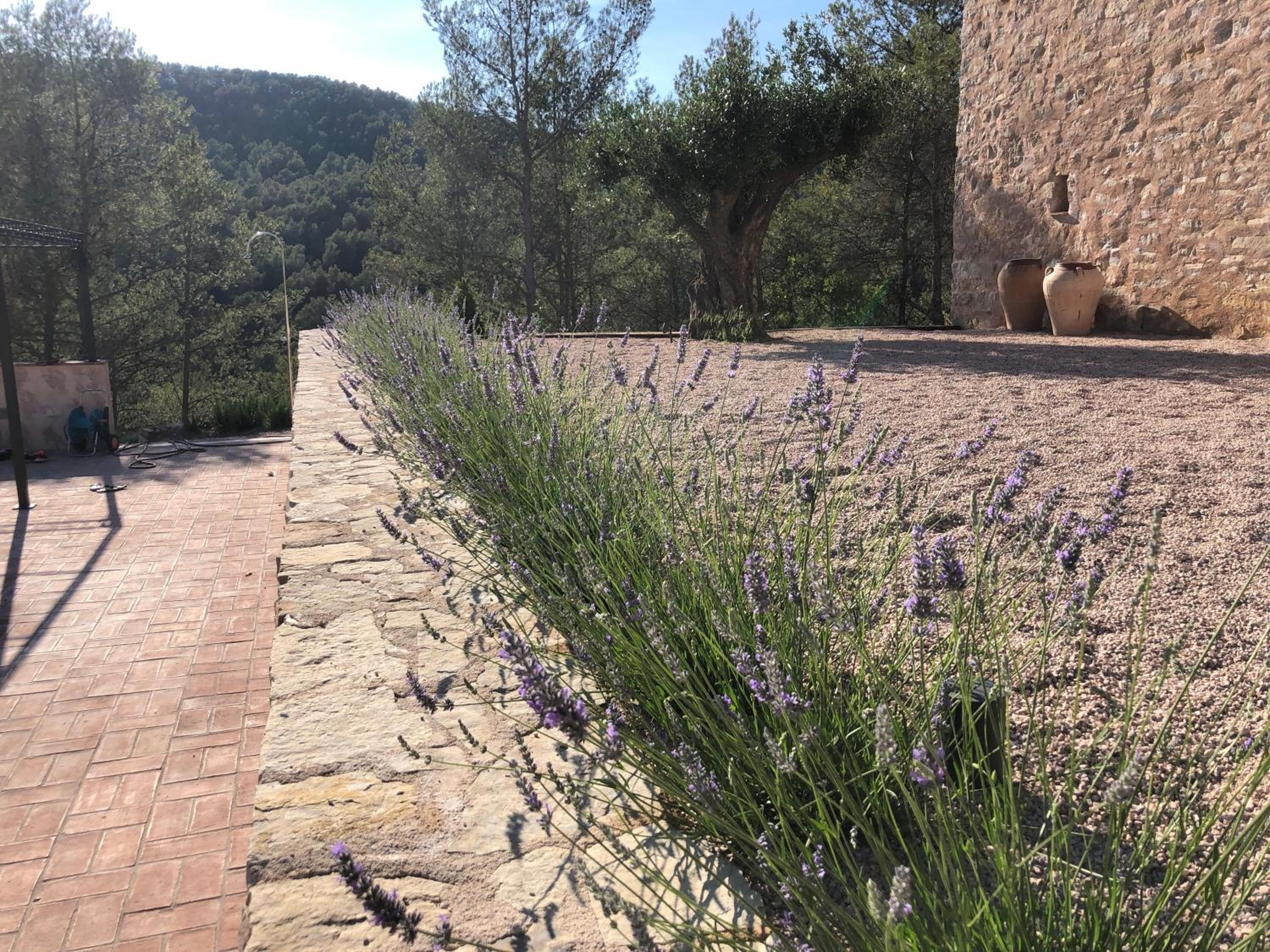 Villa - Photo 73