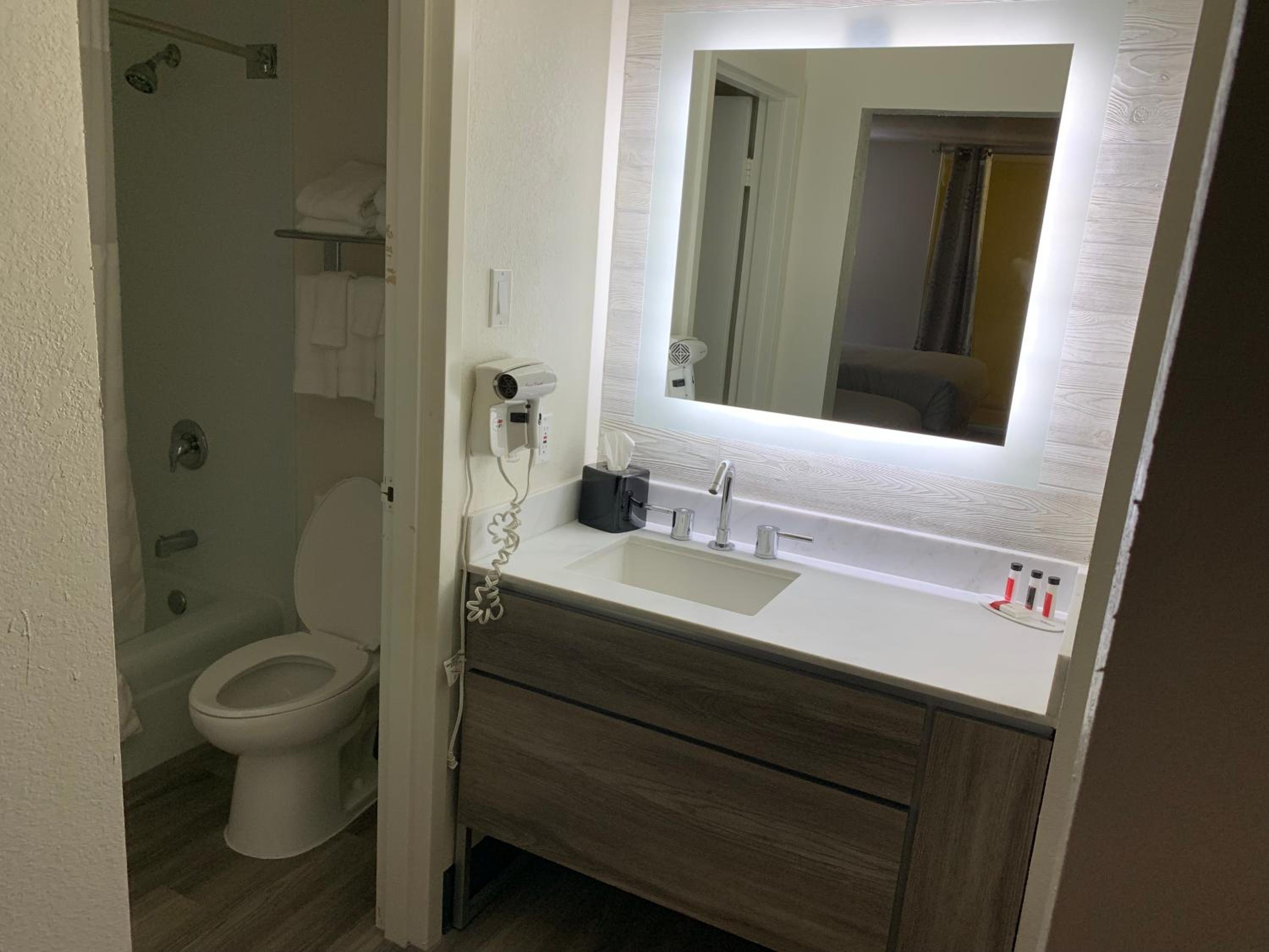 Deluxe King Suite - Non-Smoking - Photo 5