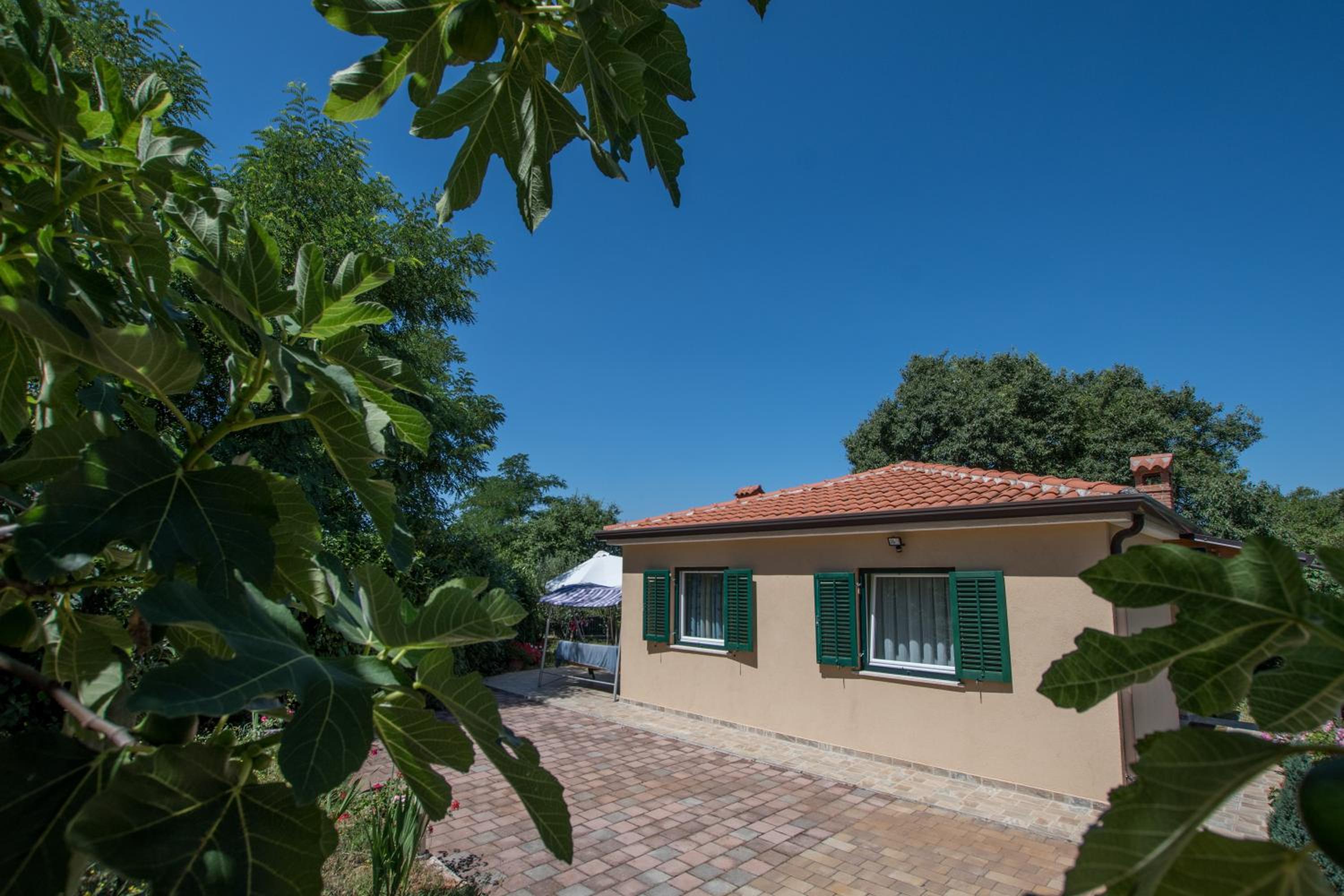 Vacation Home photo 2