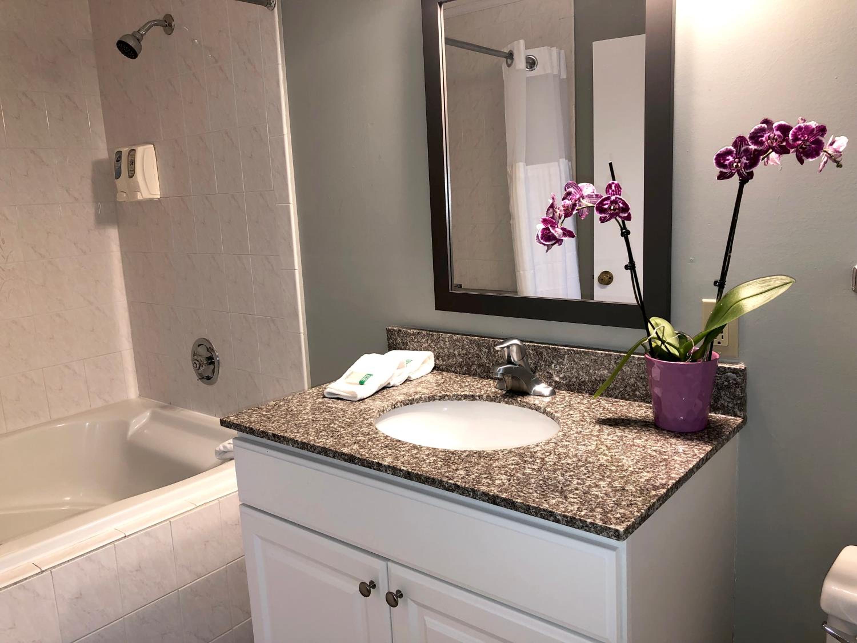 Deluxe Queen Room With Whirlpool Bath photo 2