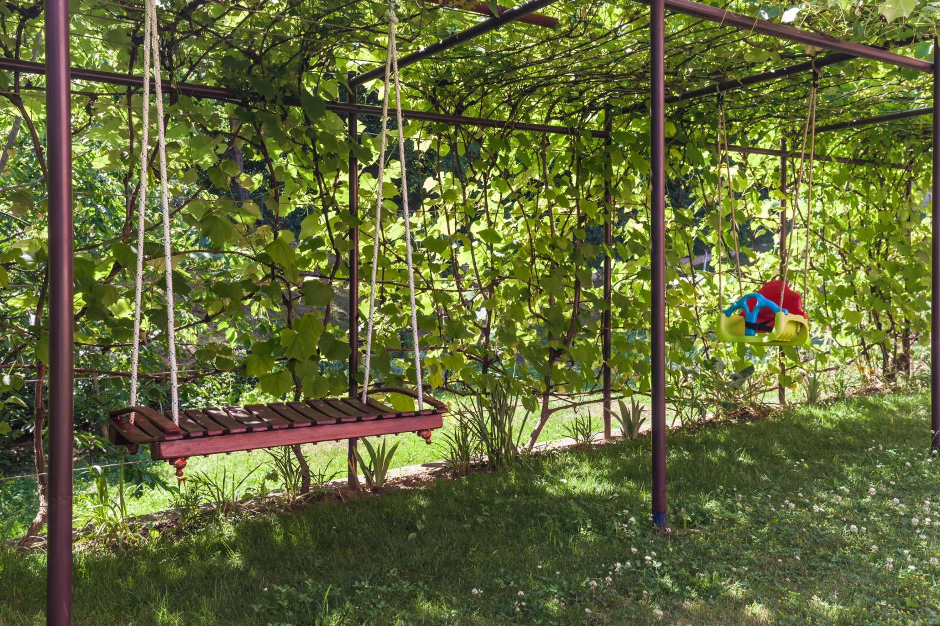 King Room with Garden View photo 3