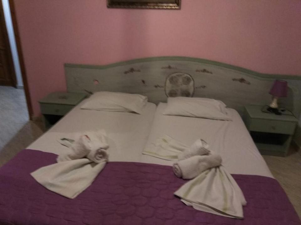 Twin Room photo 1