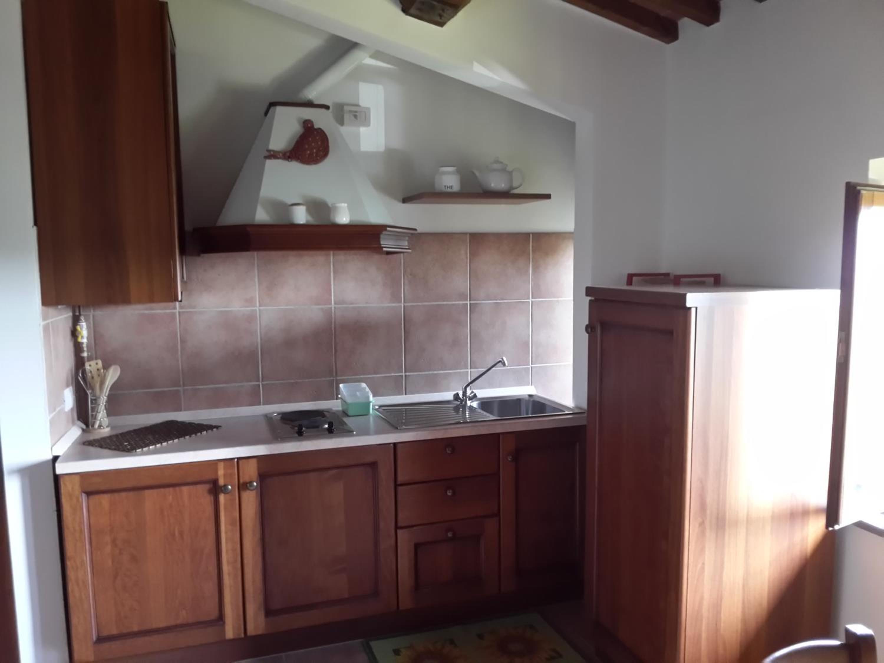 Standard Apartment 3 Adults photo 3