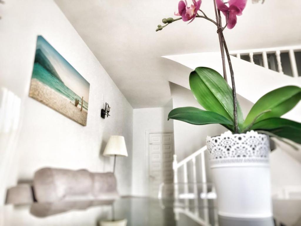 Villa de Dos Habitaciones