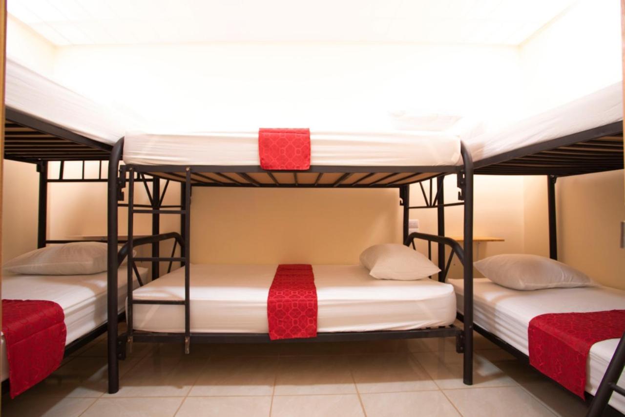 Bed in 6-Bed Mixed Dormitory Room photo 1
