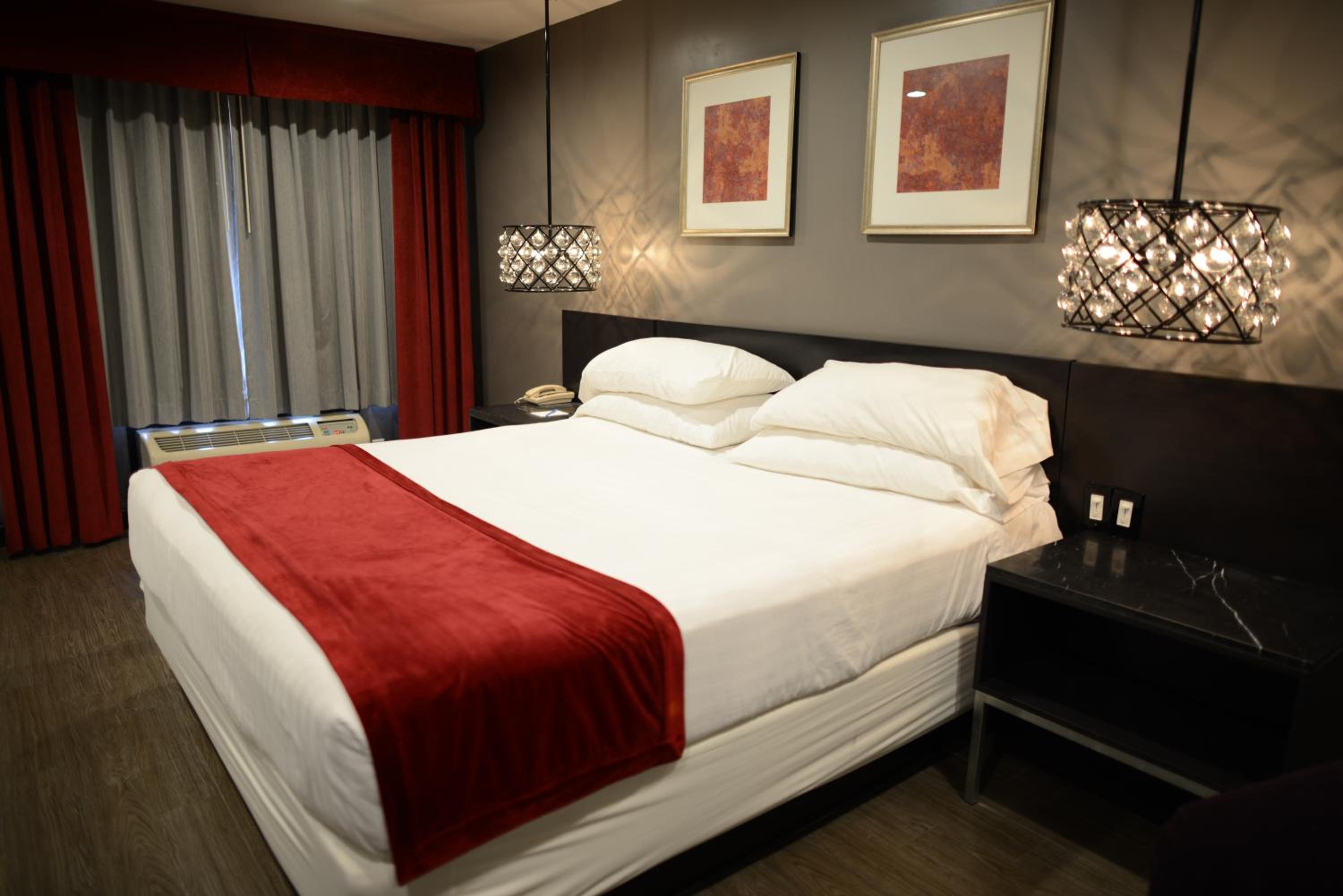 Deluxe Single Room - Photo 1