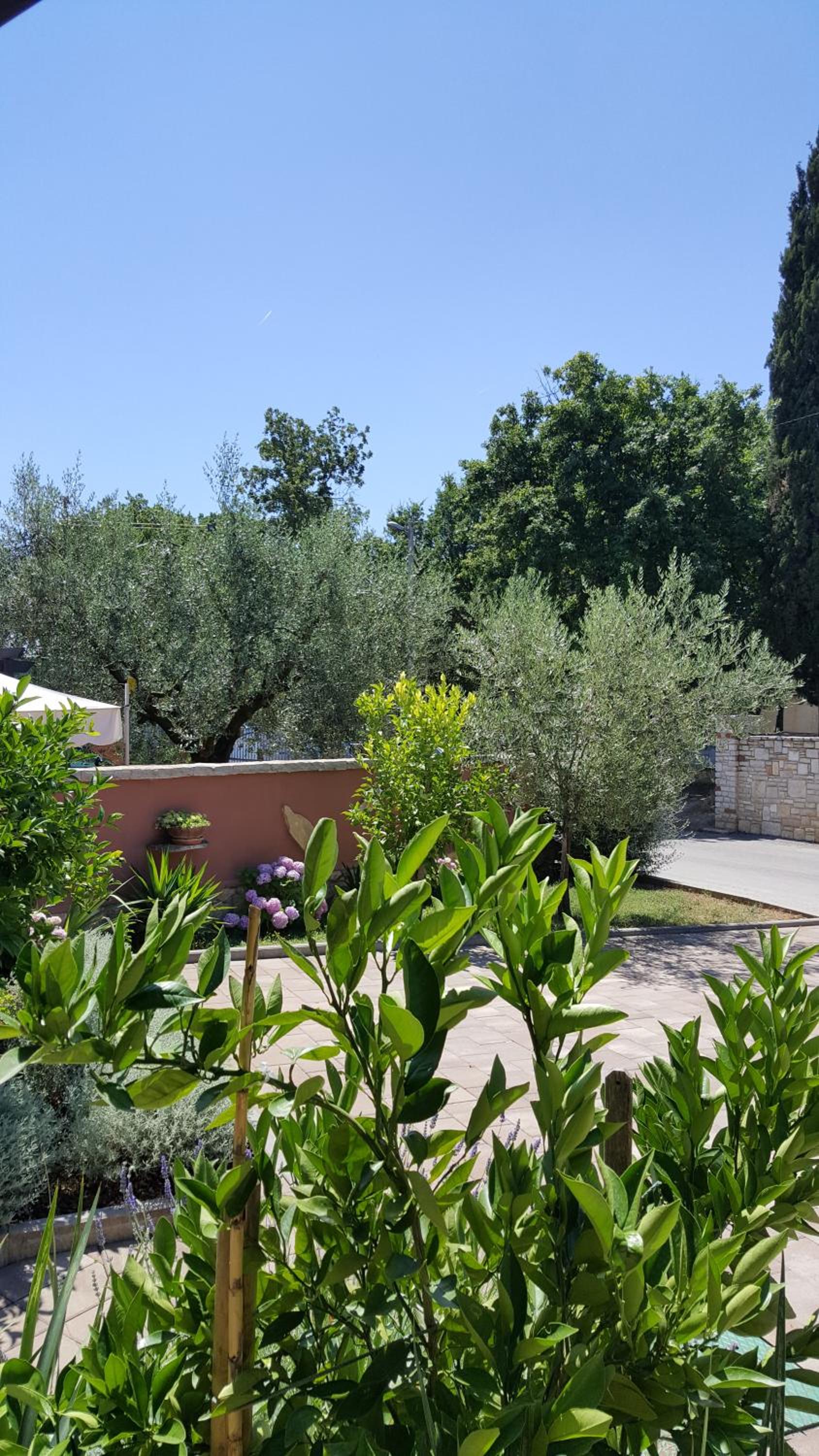 Superior Double or Twin Room with Garden View - Photo 13