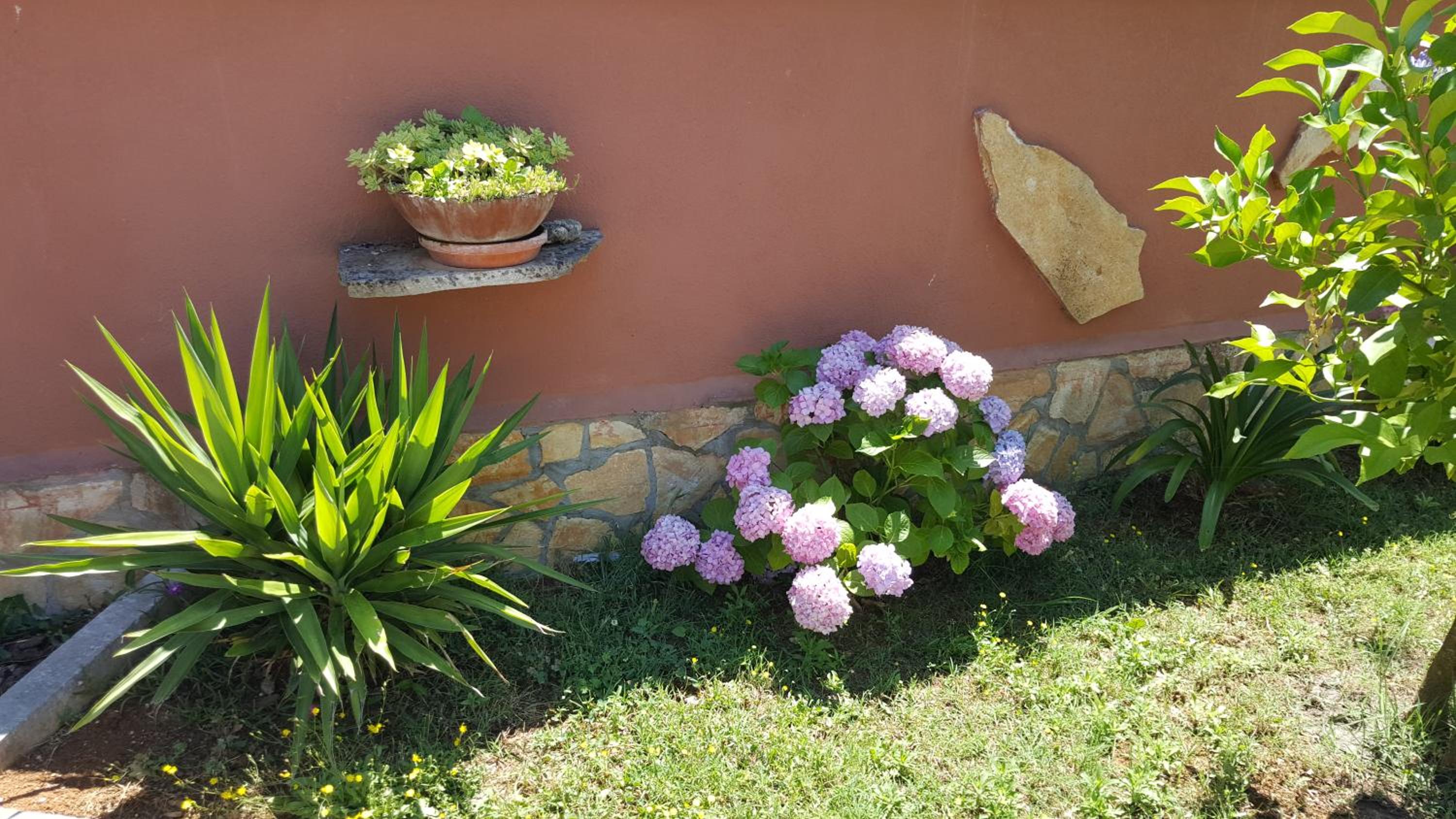 Superior Double or Twin Room with Garden View - Photo 14