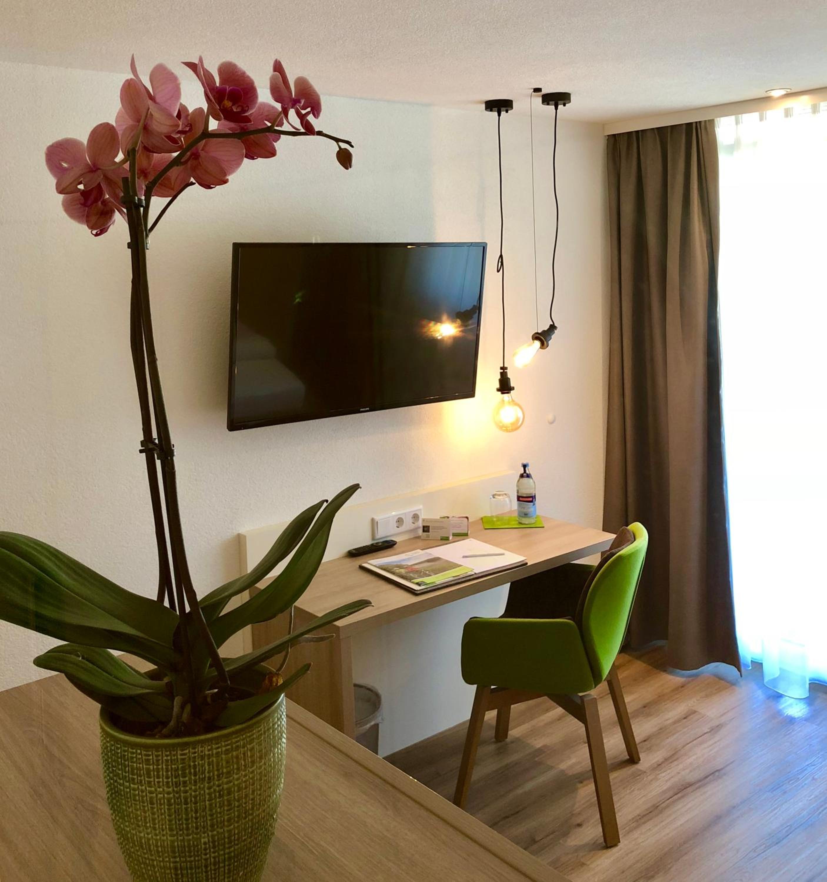 Comfort Single Room photo 2