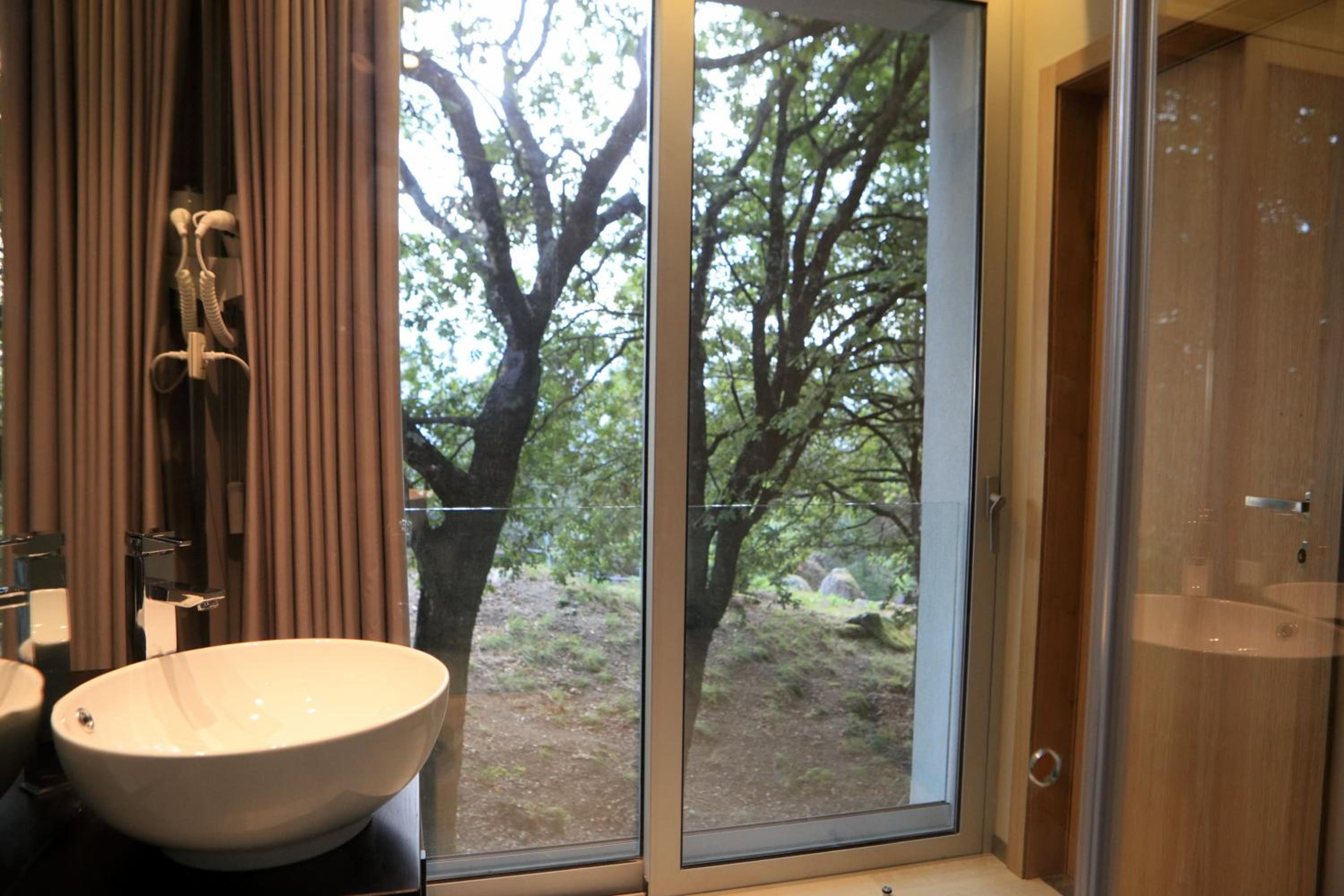 Deluxe Queen Suite - Photo 5