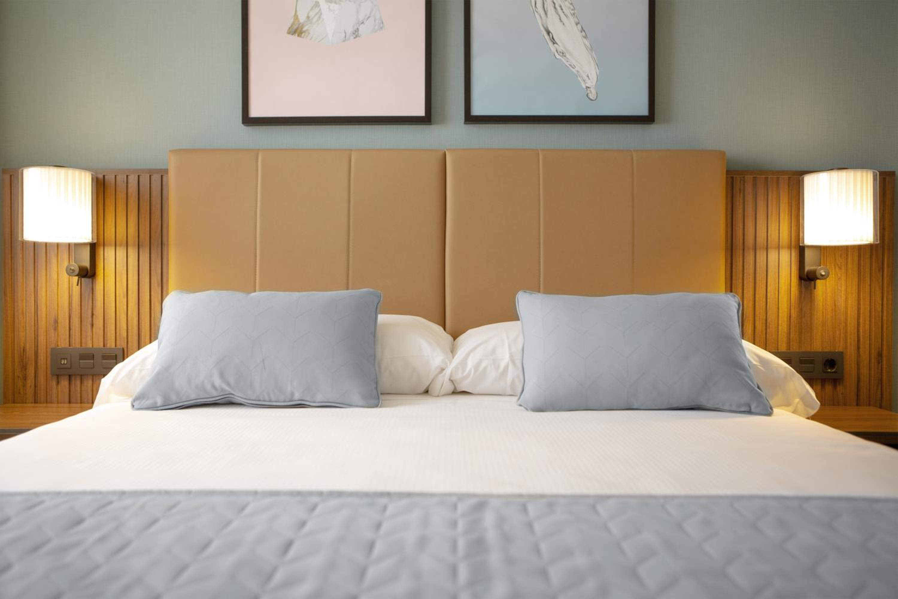 Deluxe Superior King Room photo 3