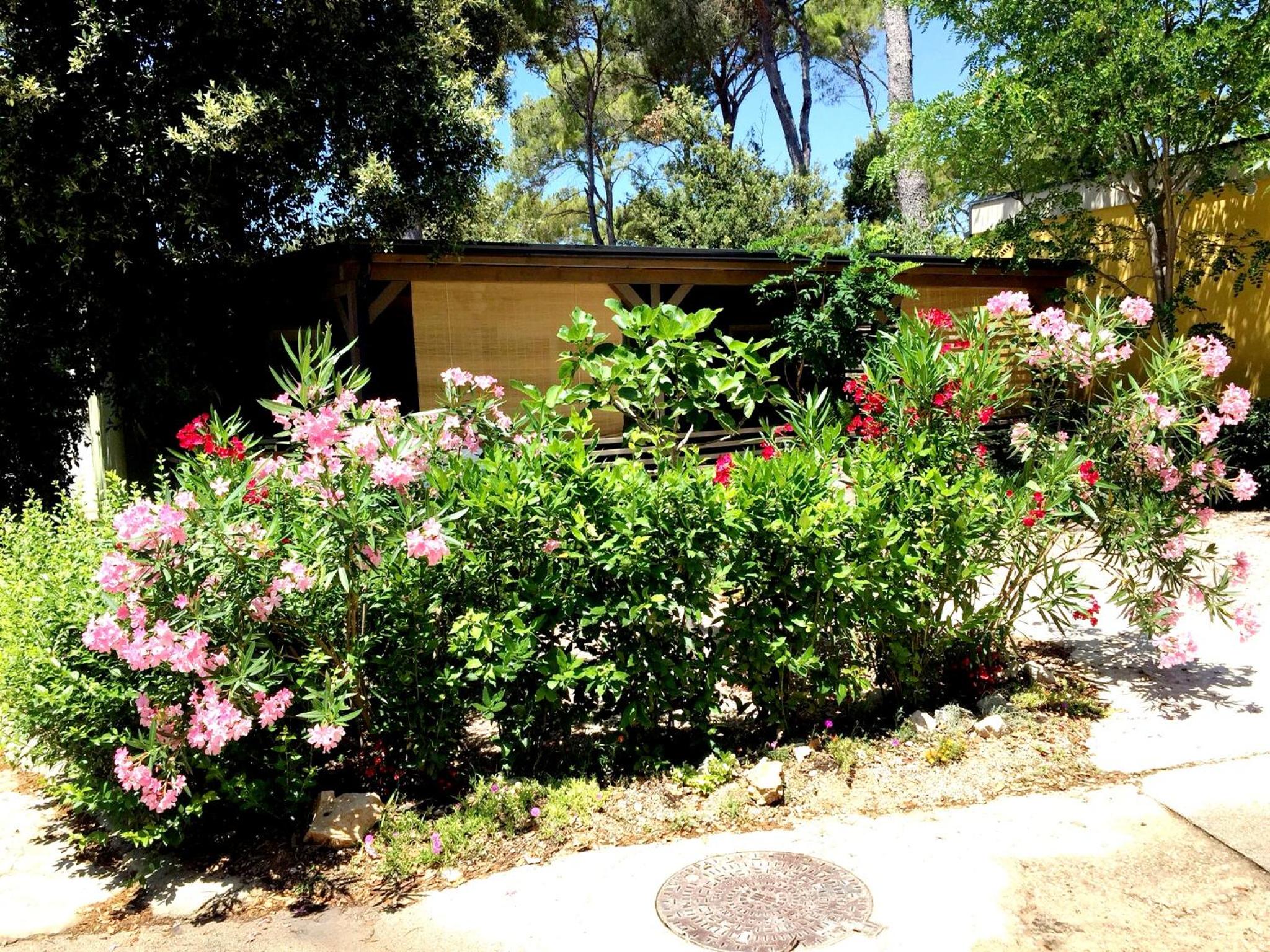 Superior Three-Bedroom Mobile Home with Terrace photo 3