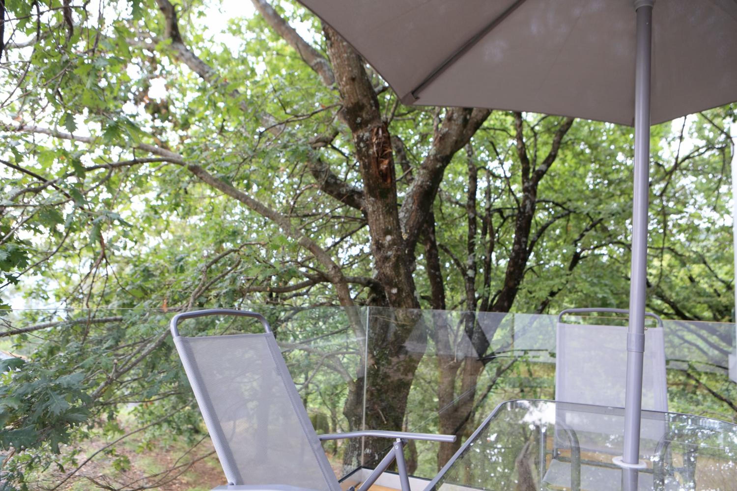 Deluxe King Suite - Photo 4