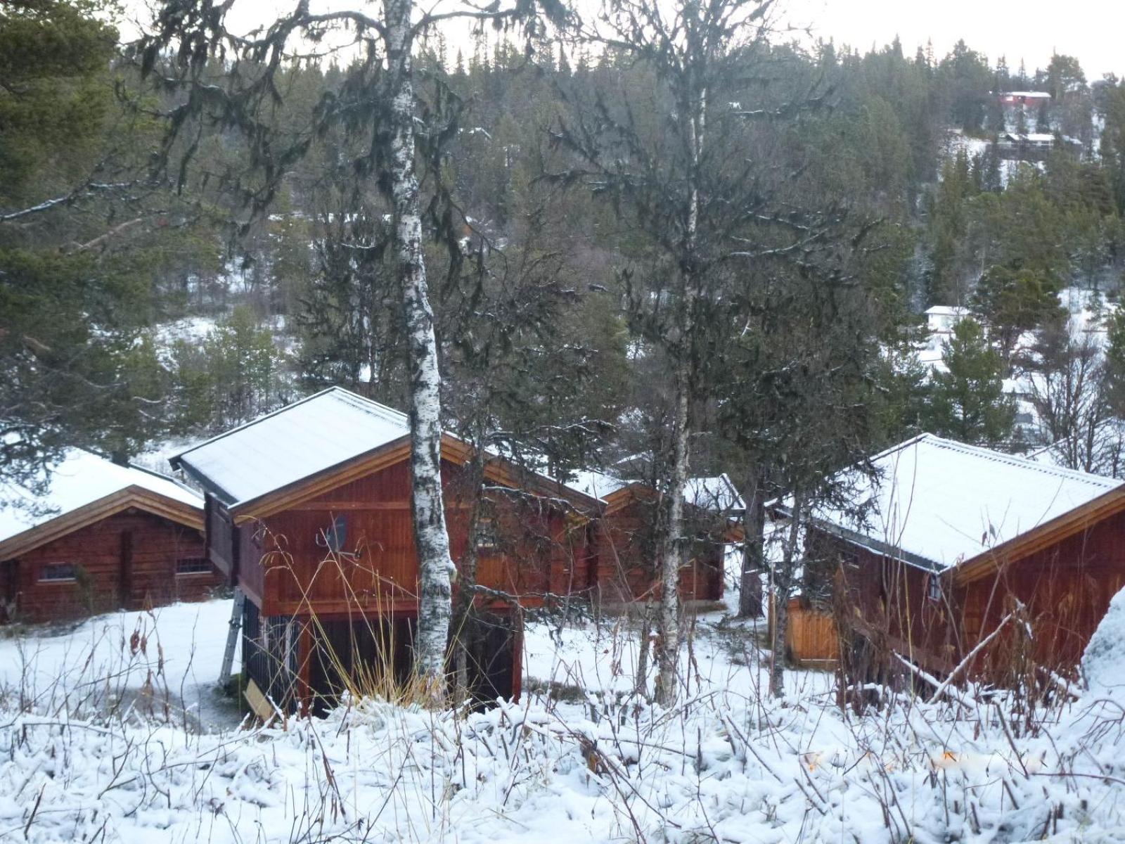 Two-Bedroom Cottage - Photo 17