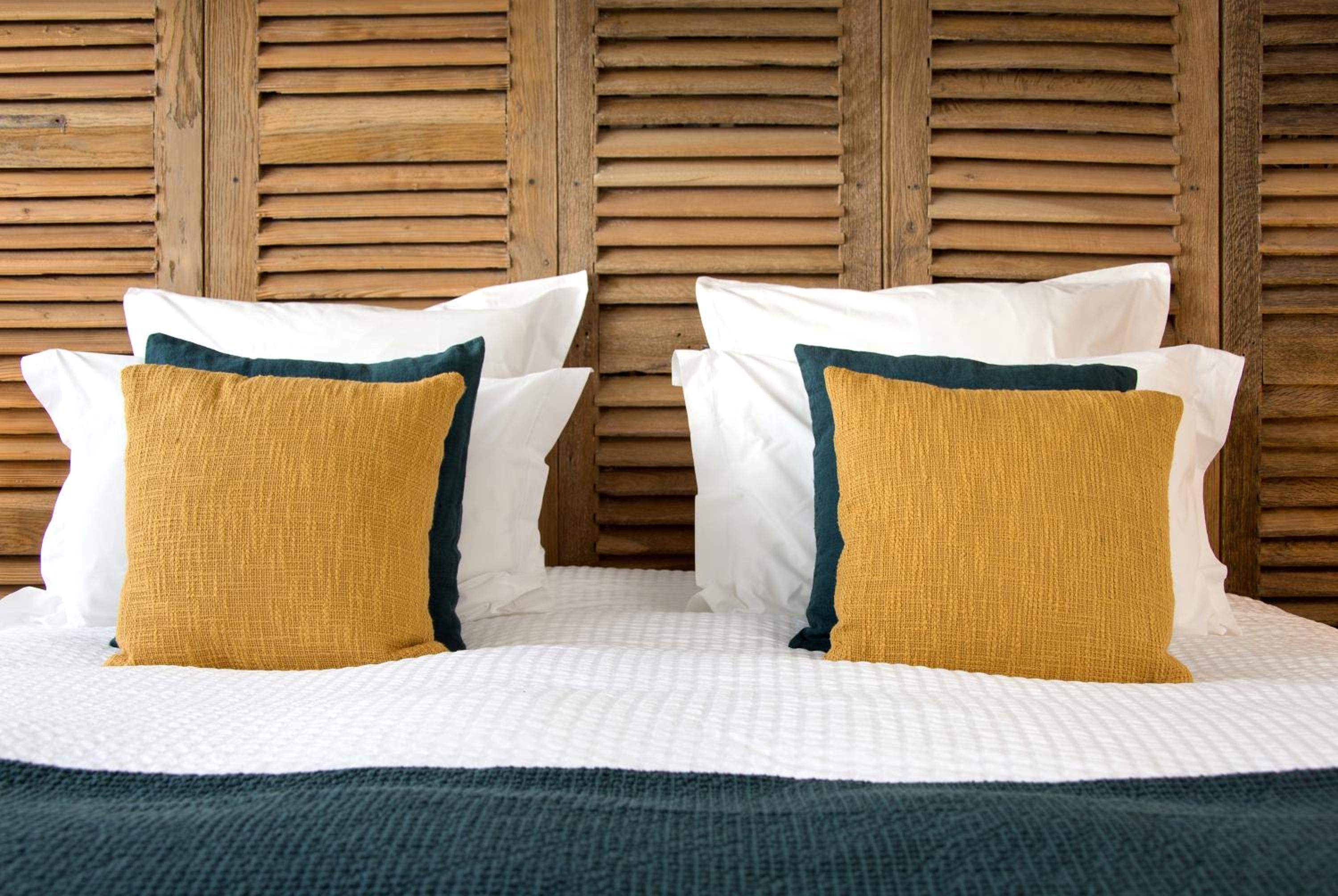 Double or Twin Room photo 3