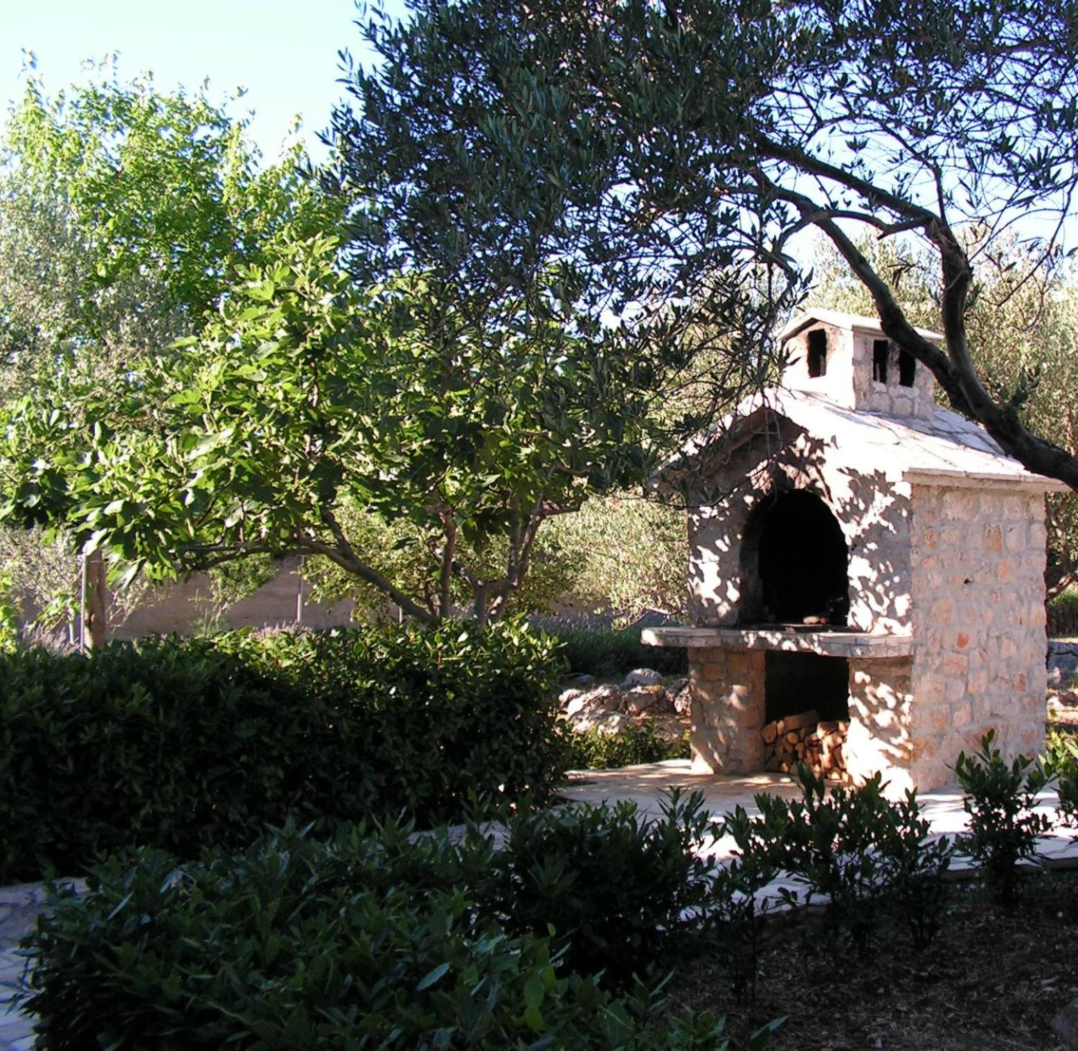 Studio with Terrace photo 3