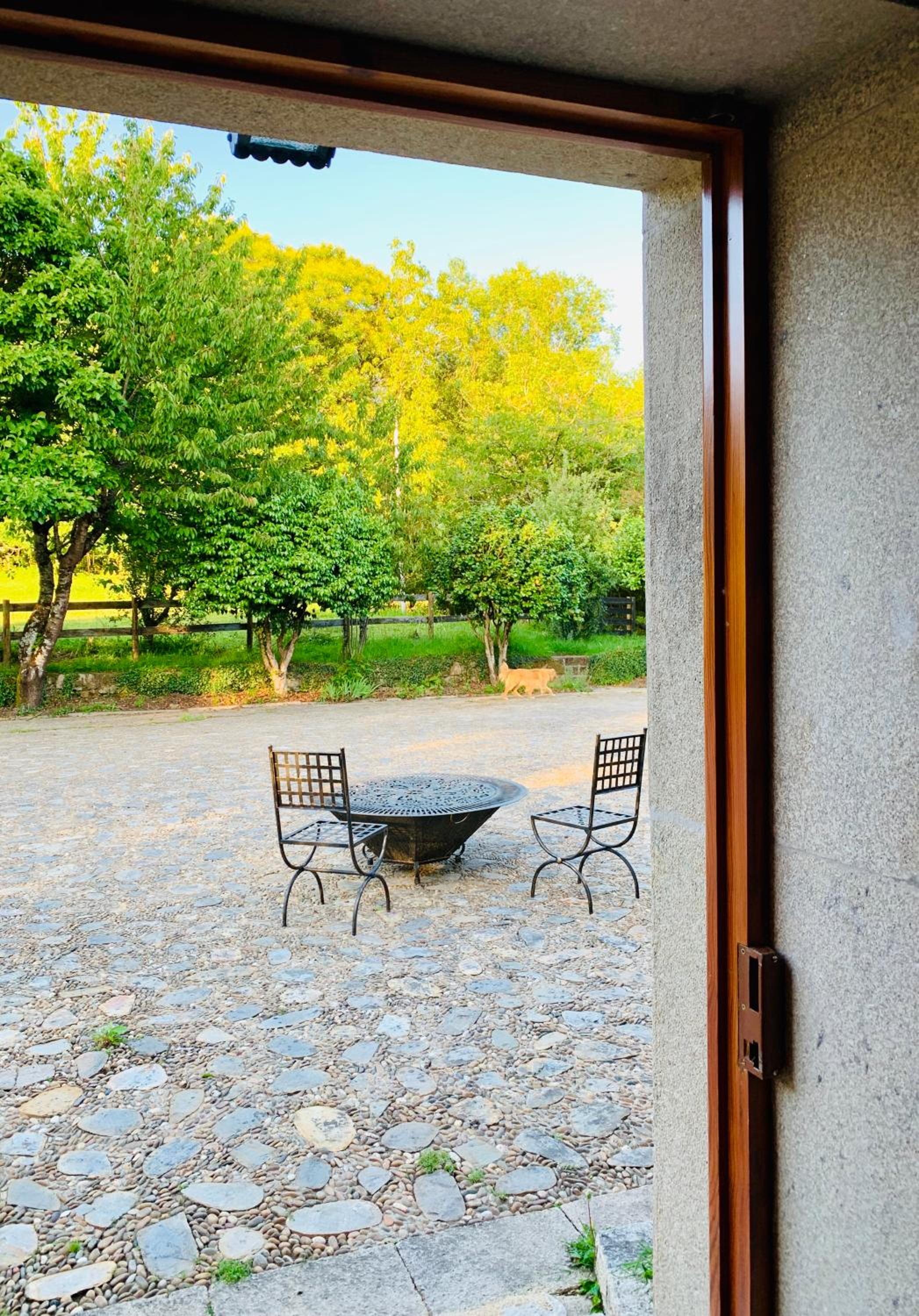 Studio With Garden View photo 3