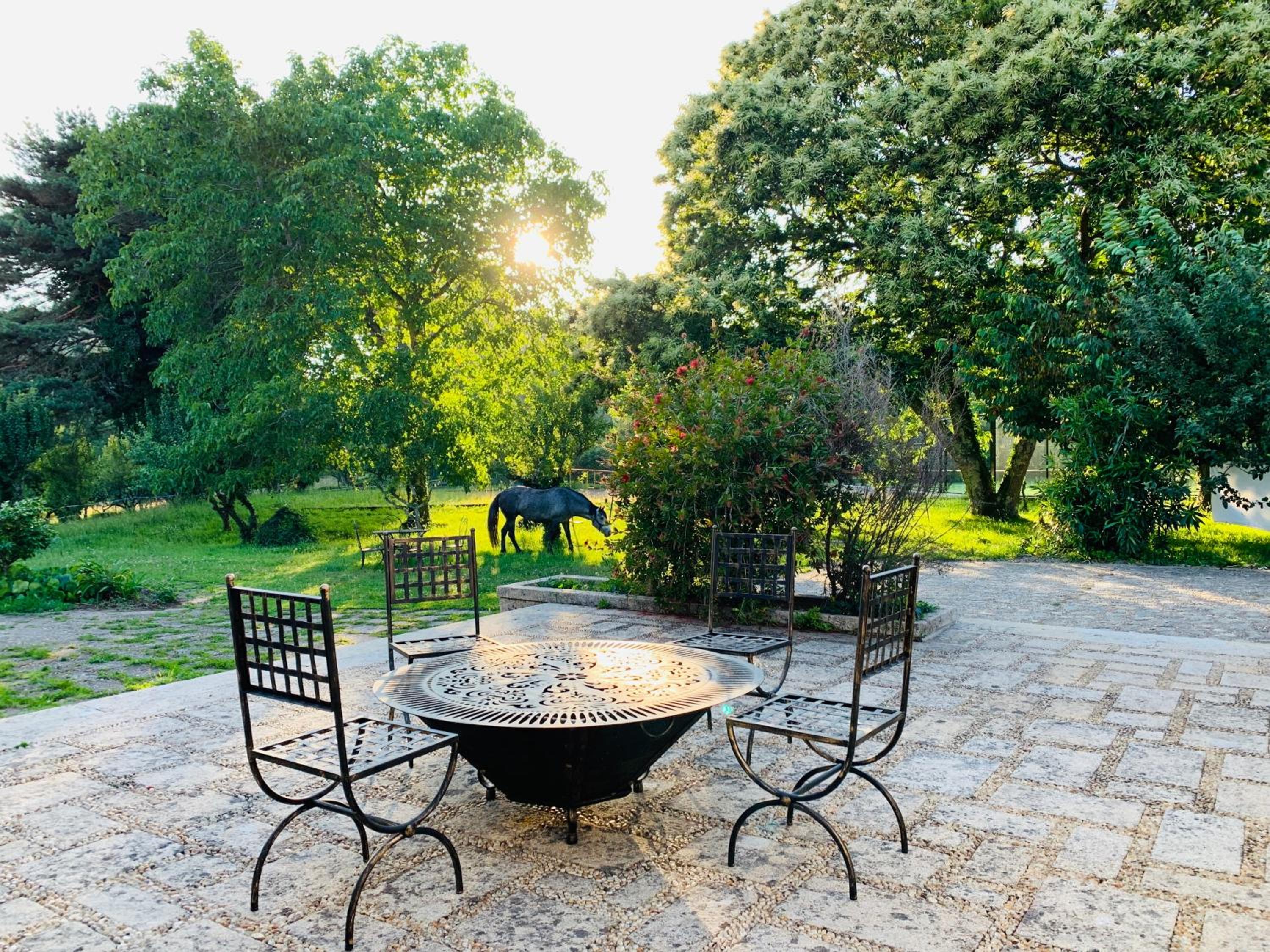 Finca Briabí, Zdjęcie 3