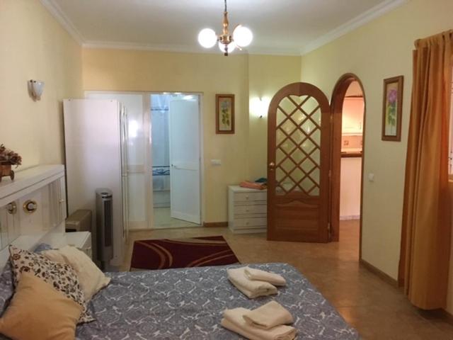 Apartment with Terrace photo 1