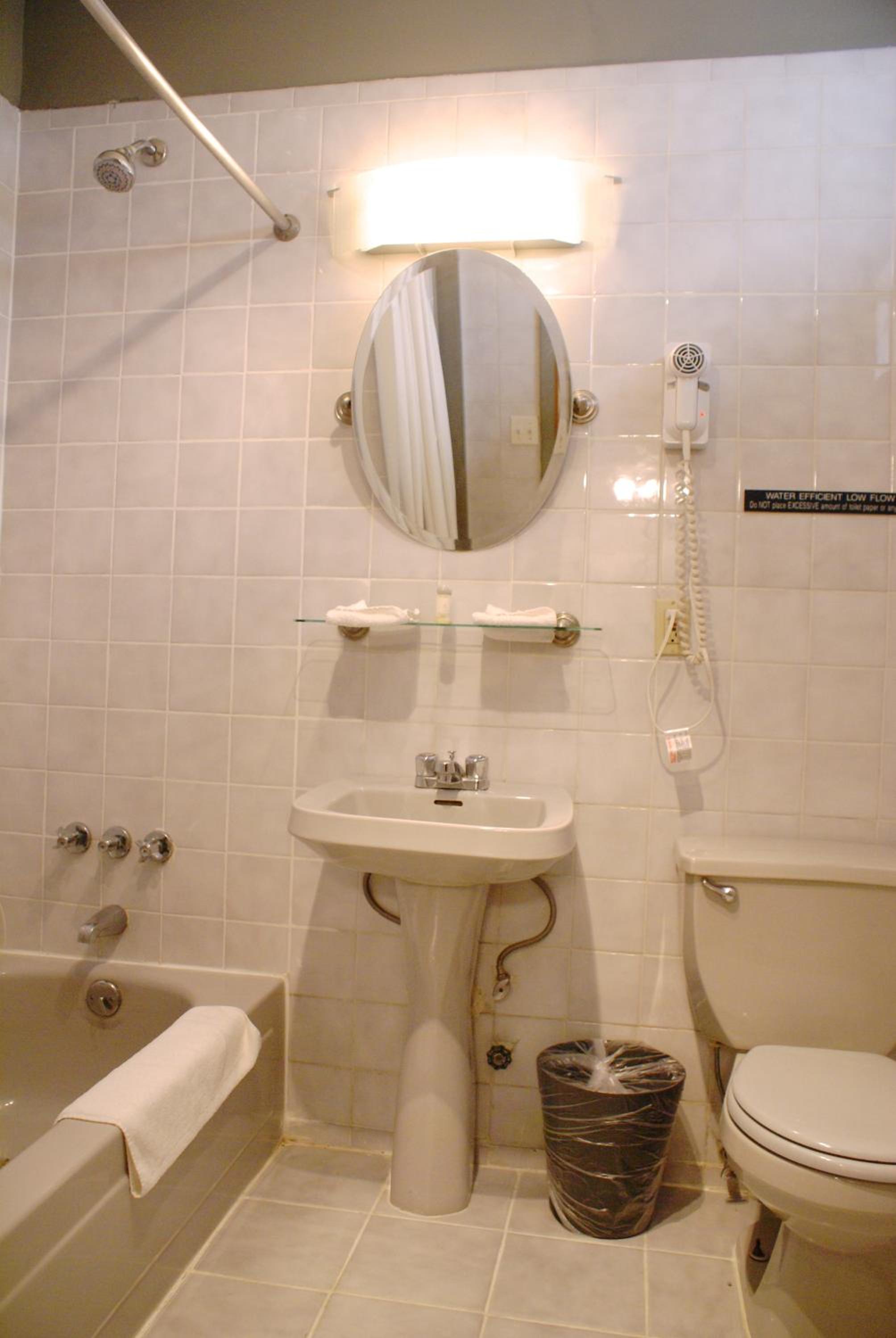Deluxe One-Bedroom Suite thumbnail 5