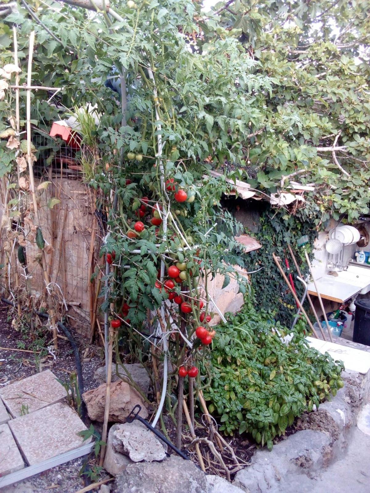 Apartment - Photo 49