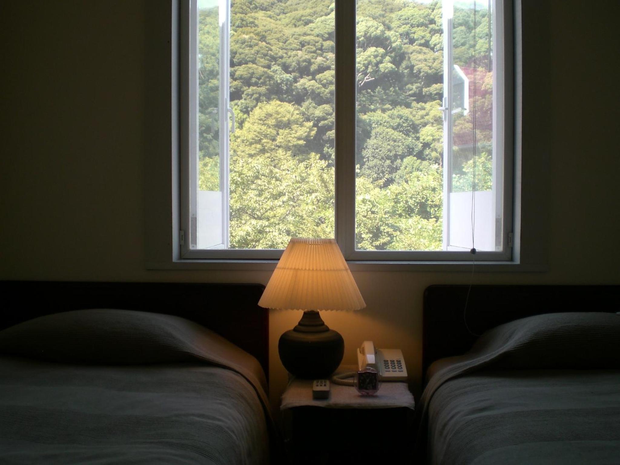 Twin Room with Shared Bathroom photo 1