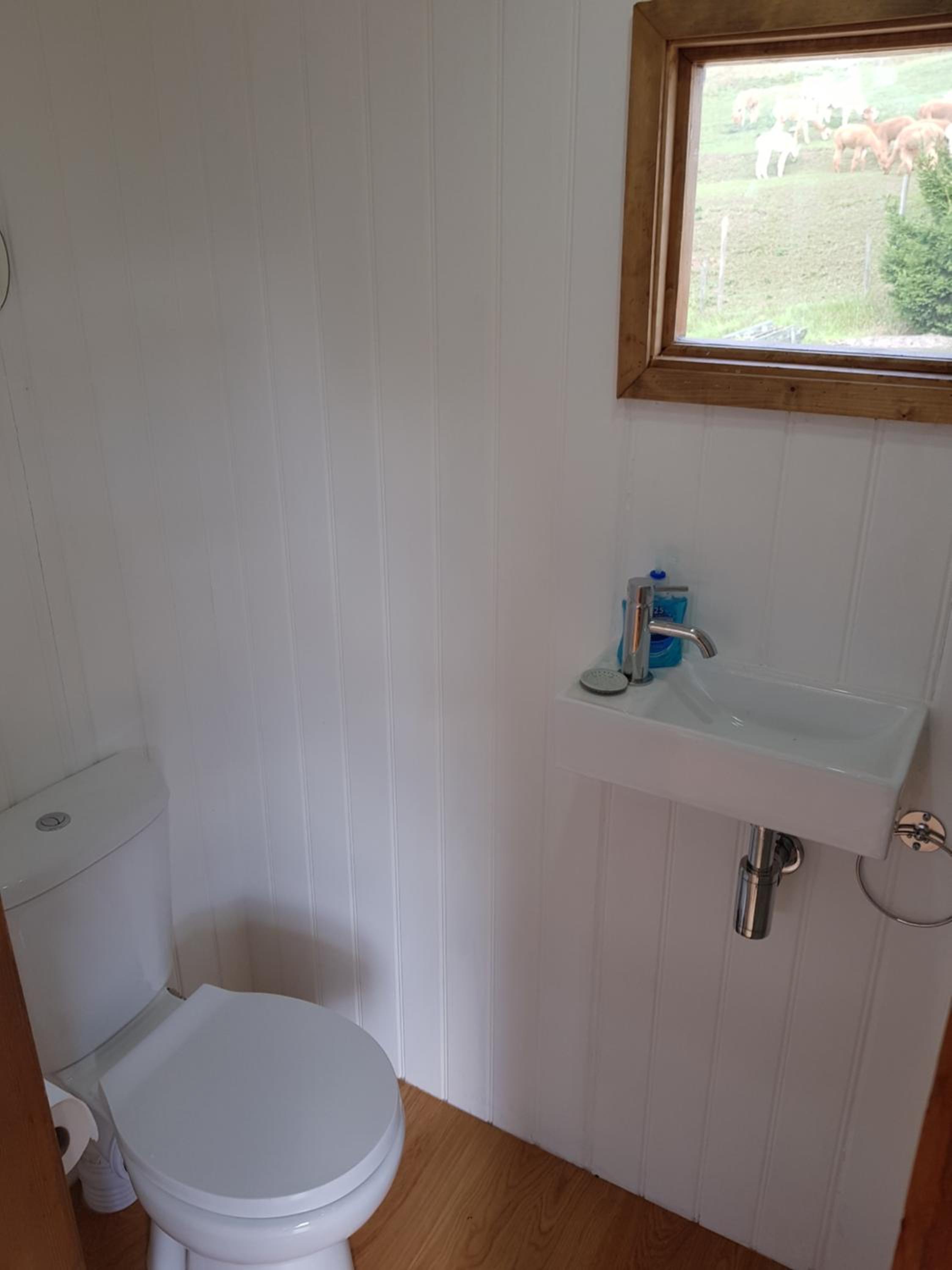 Shepherds Hut photo 1