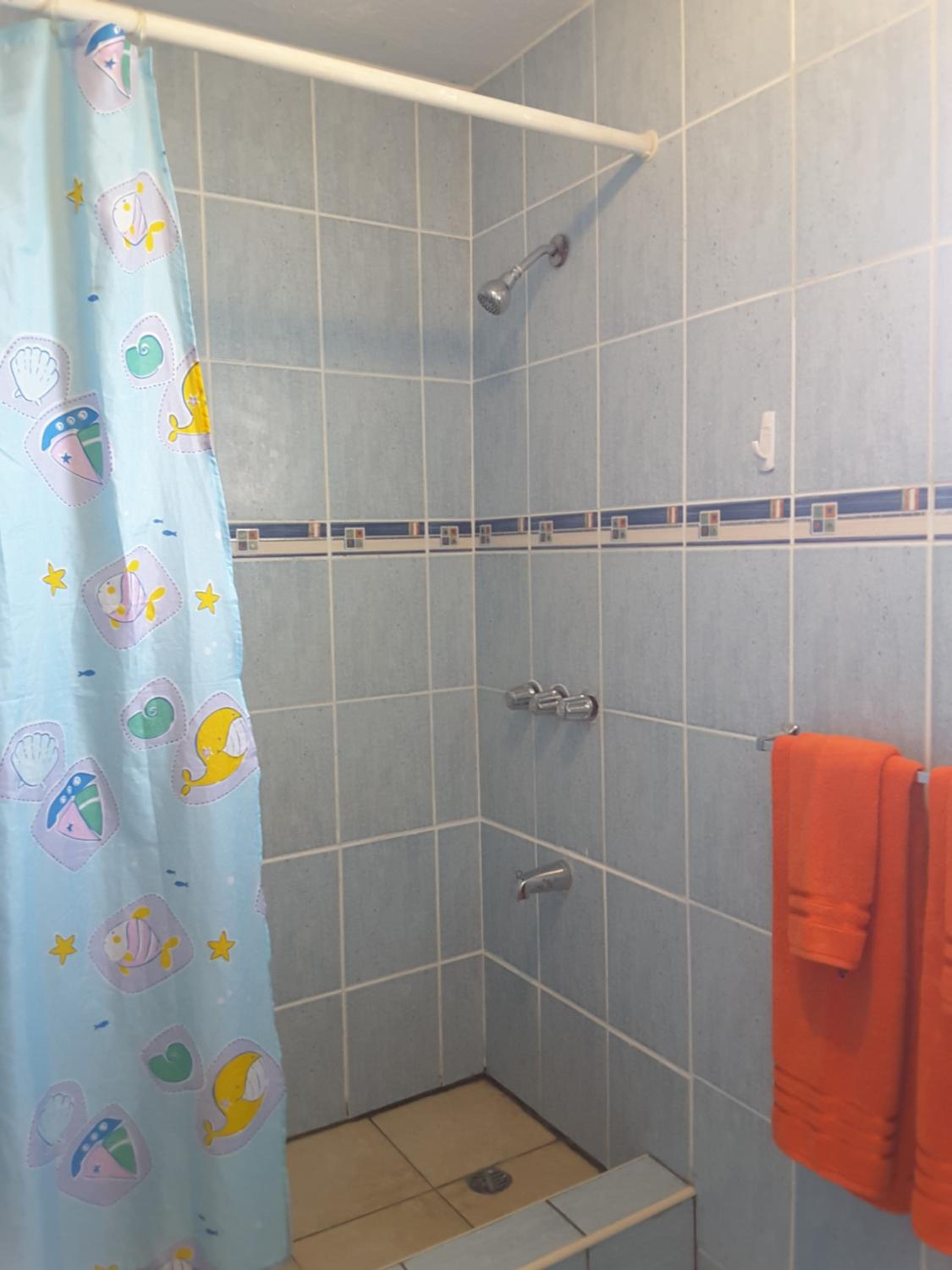 Deluxe 2bedroom/2bathroom  oceanfront apartment  photo 3