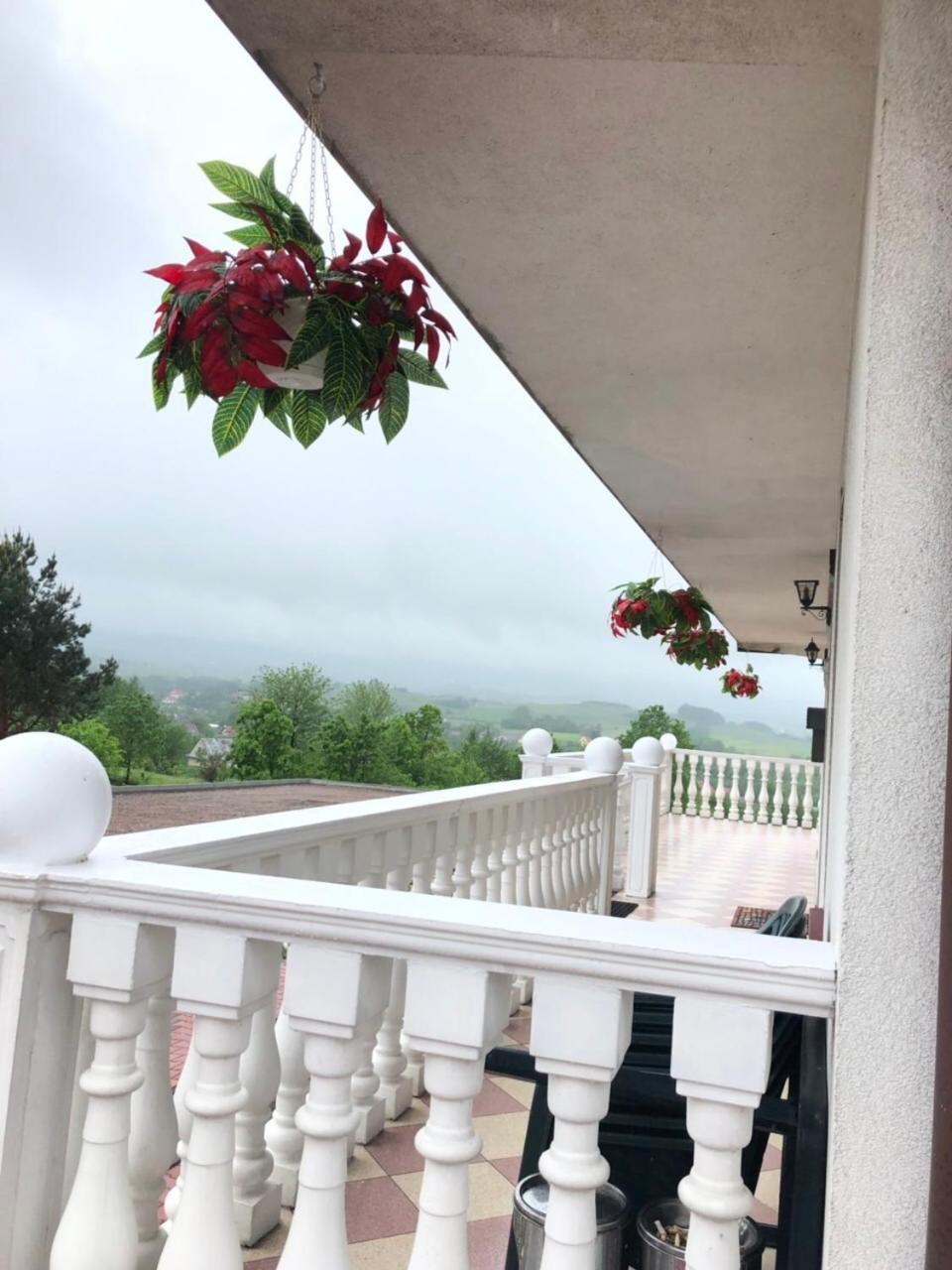 Double Room with Mountain View photo 3