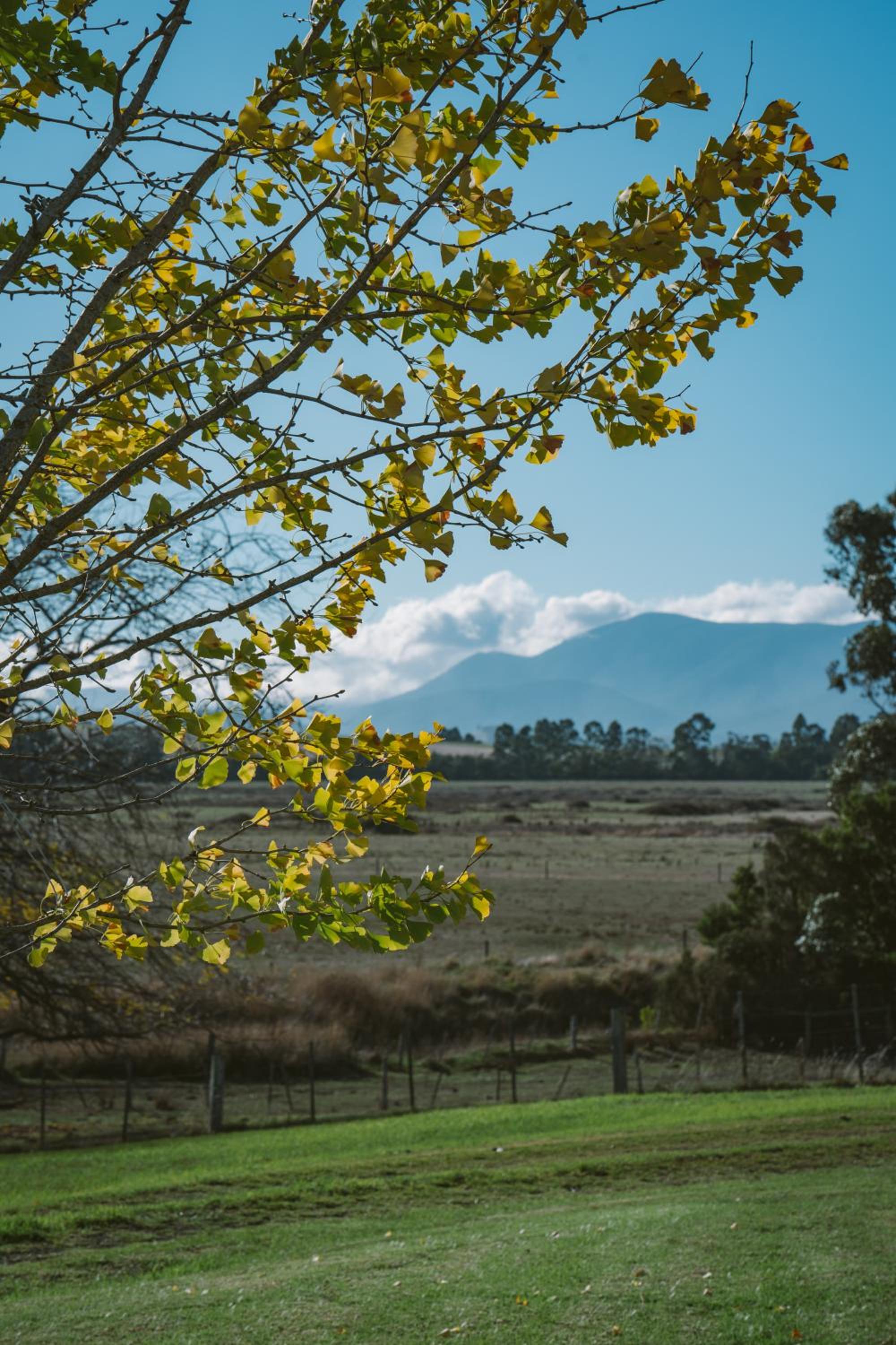 Yarra Suite - Photo 11