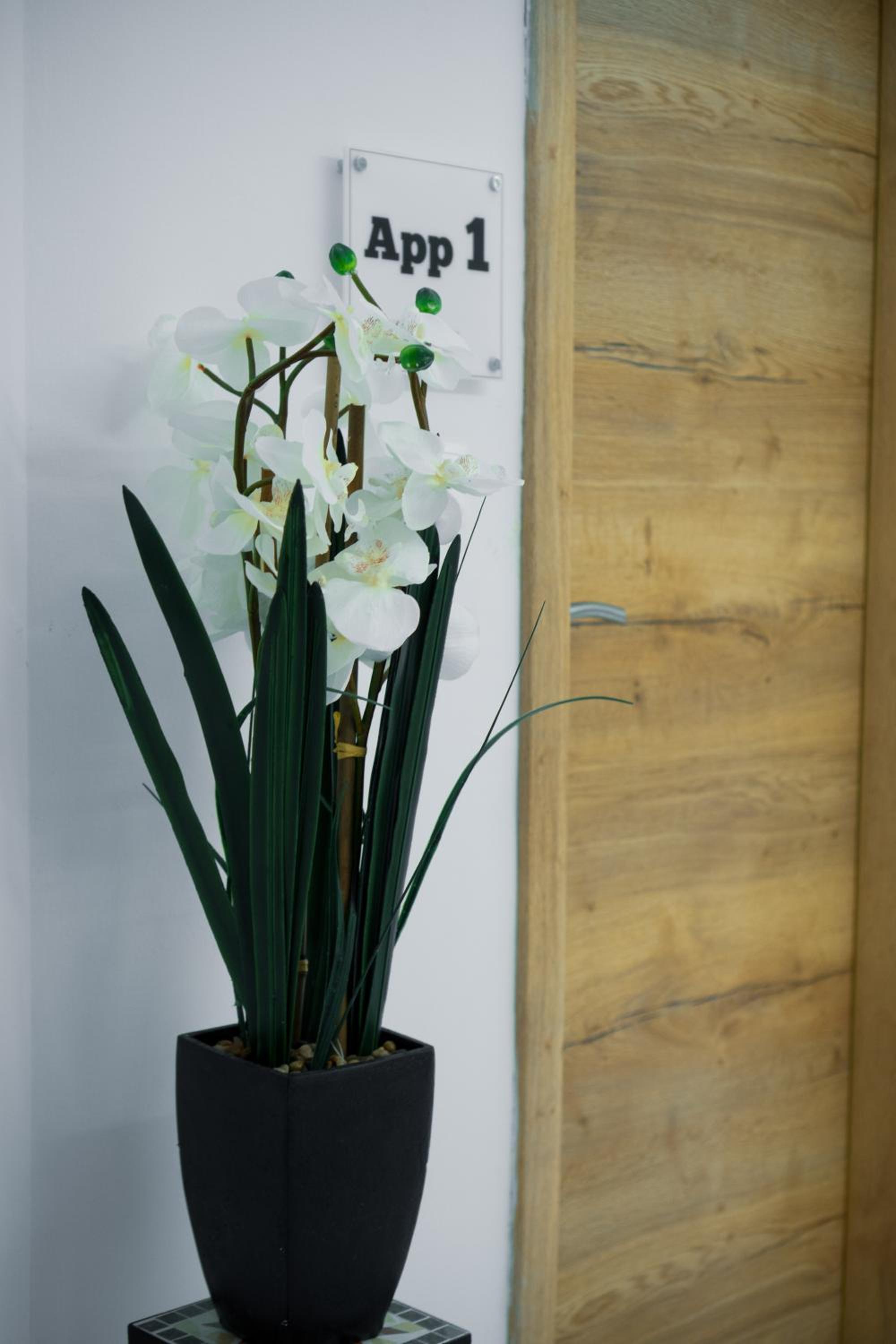 Apartment - Ground Floor - Photo 9
