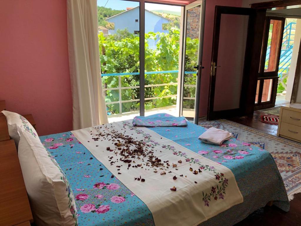 Double or Twin Room with Balcony photo 1