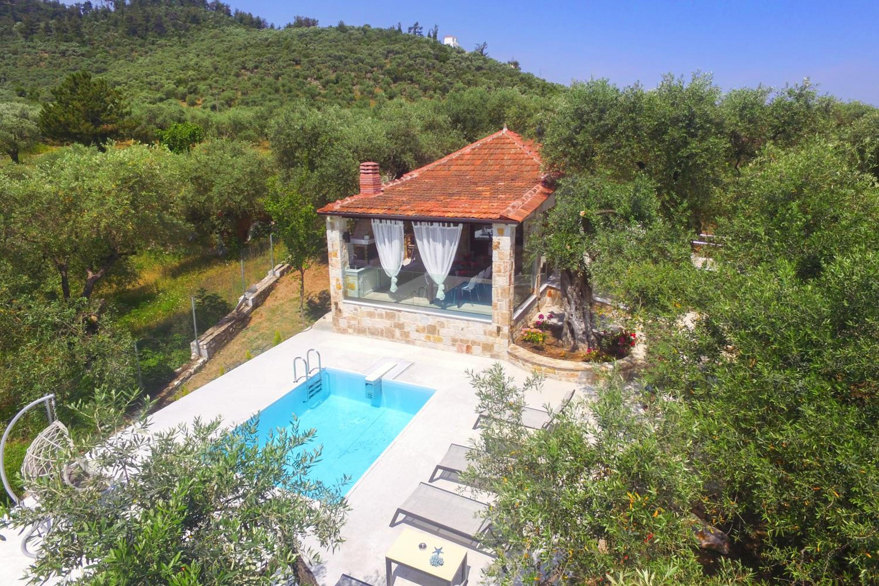 Villa with Private Pool photo 2