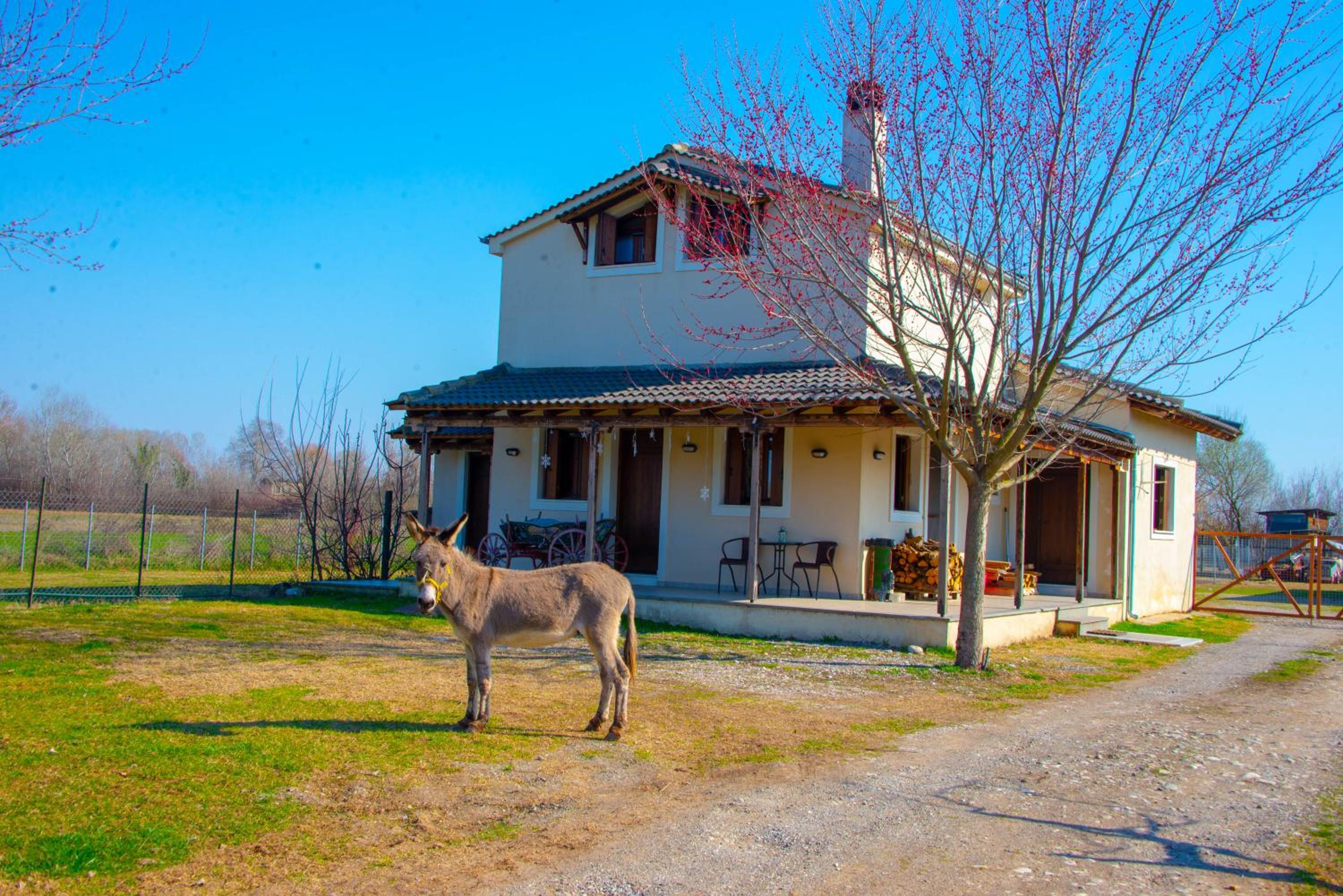 Villa - Photo 18