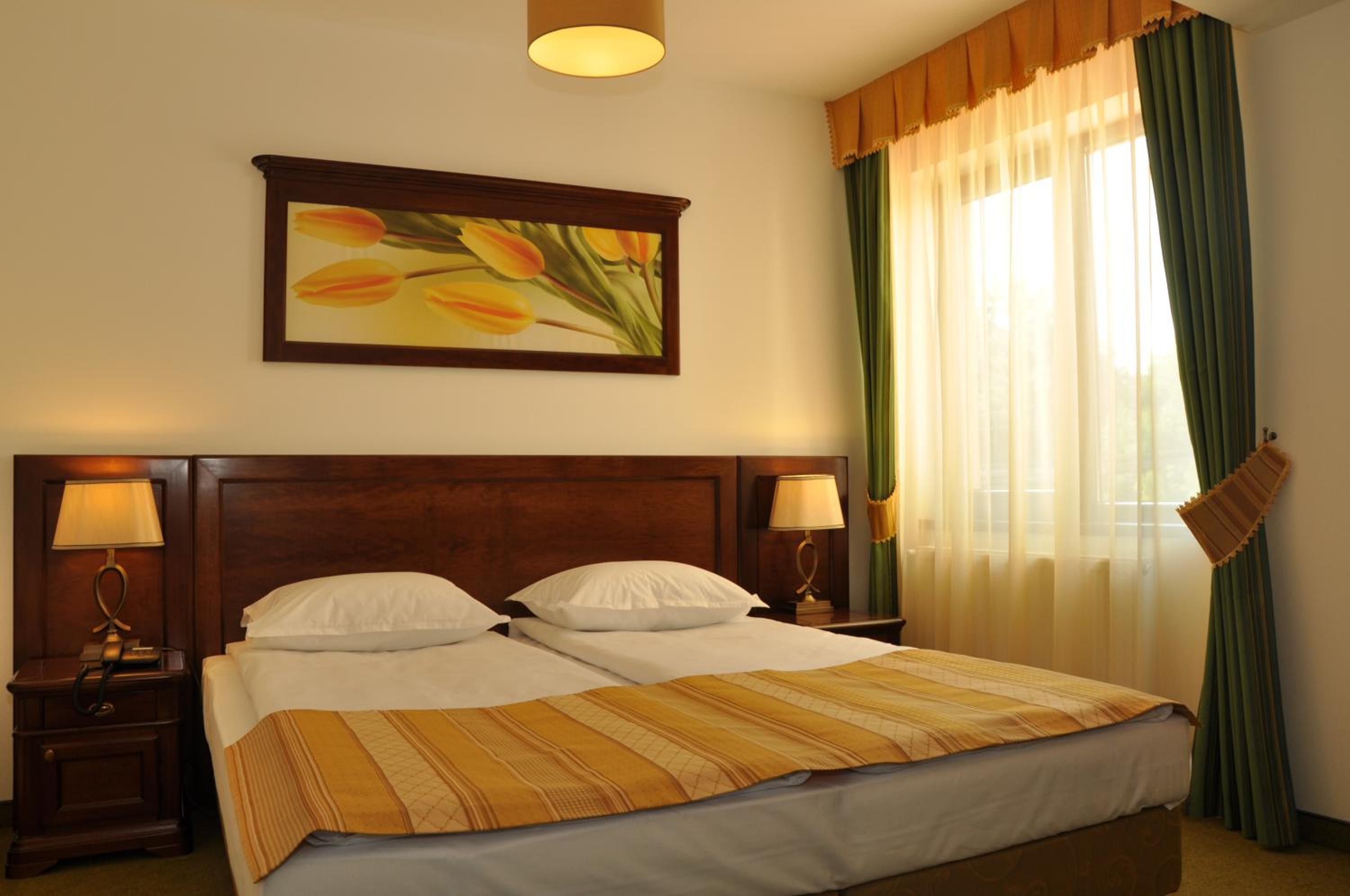 Deluxe One-Bedroom Suite photo 3