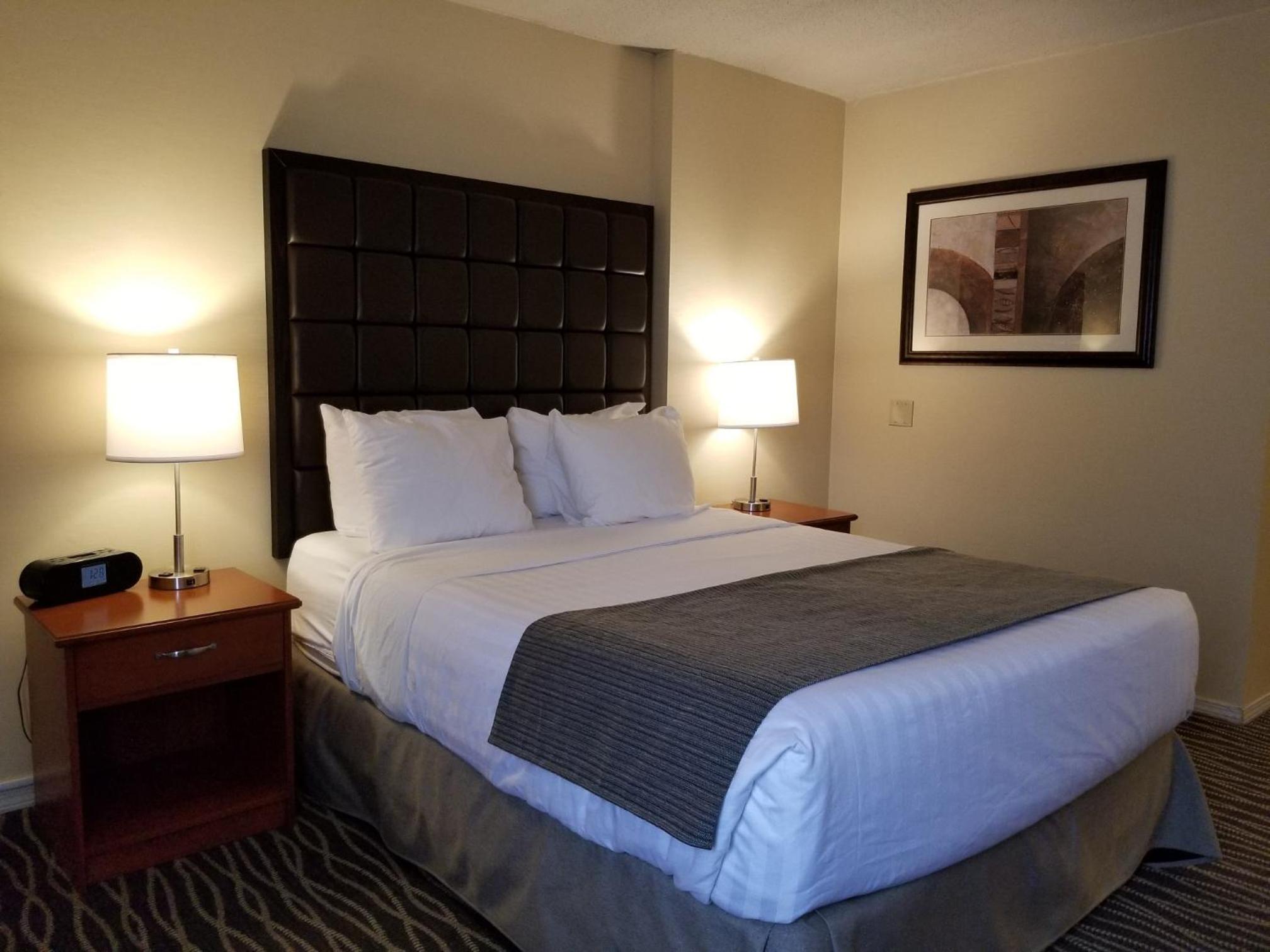 Queen Room photo 3