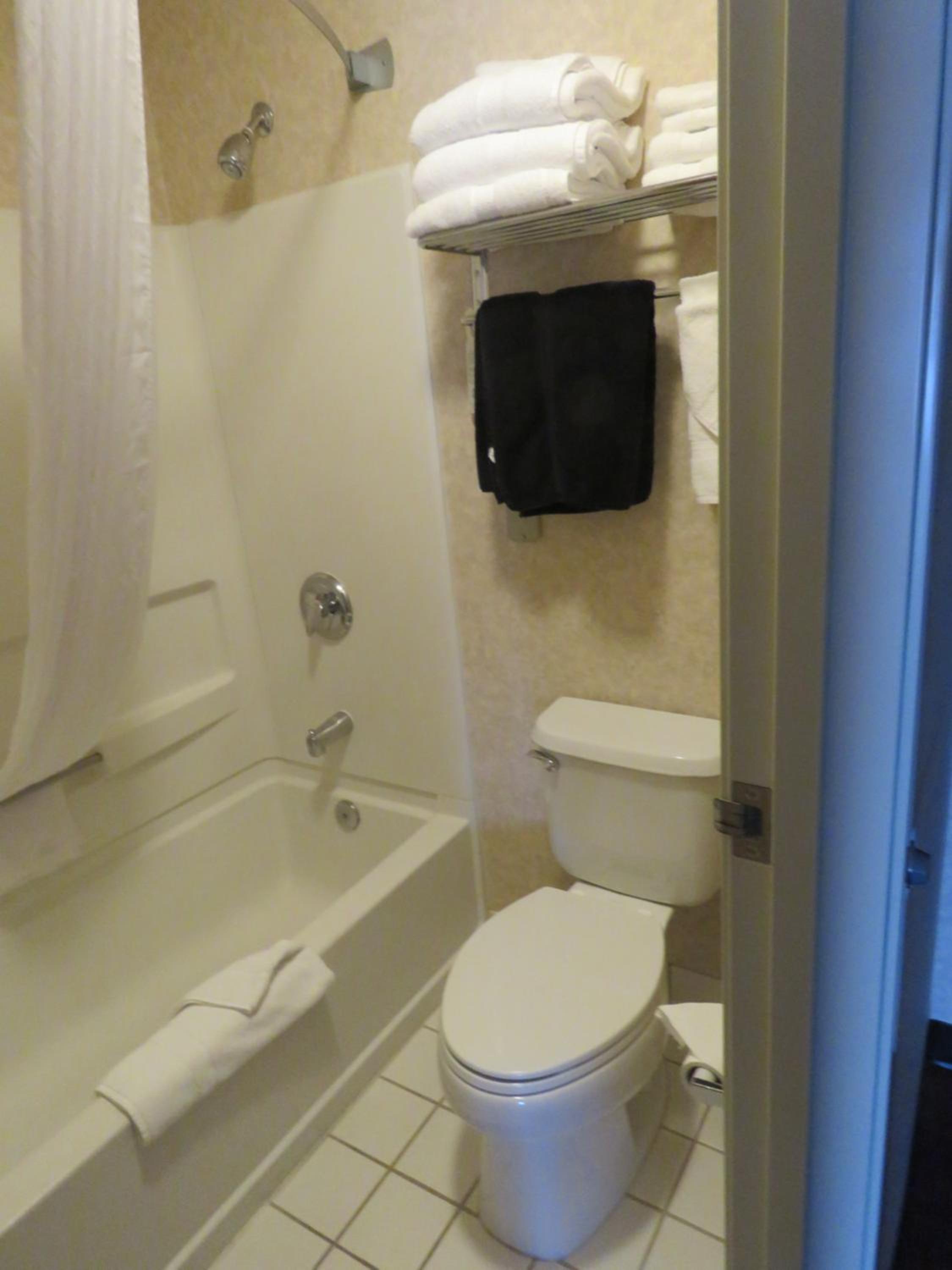 Queen Room with Two Queen Beds - Photo 9