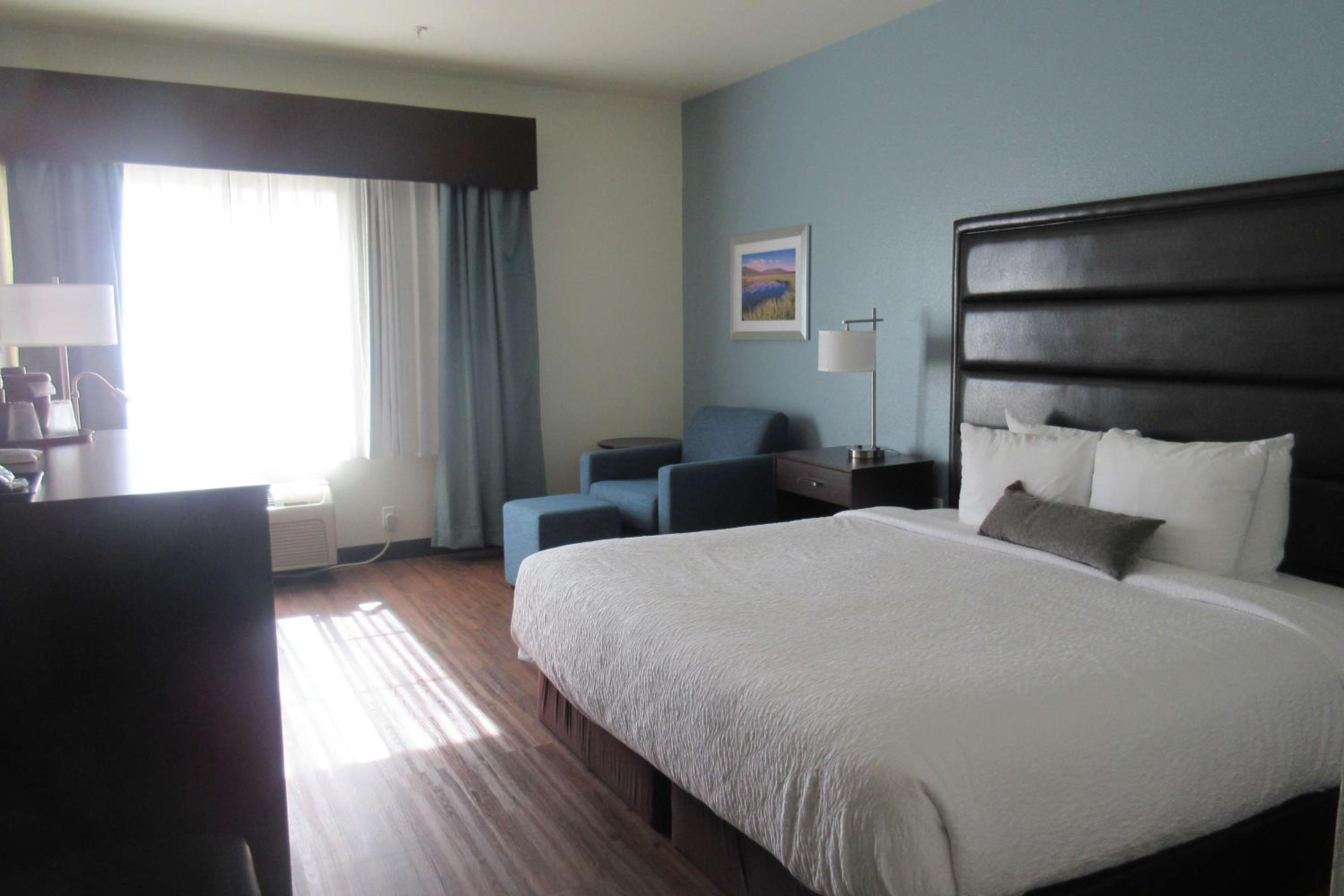 King Room with Bath Tub - Disability Access/Pet Friendly - Photo 1