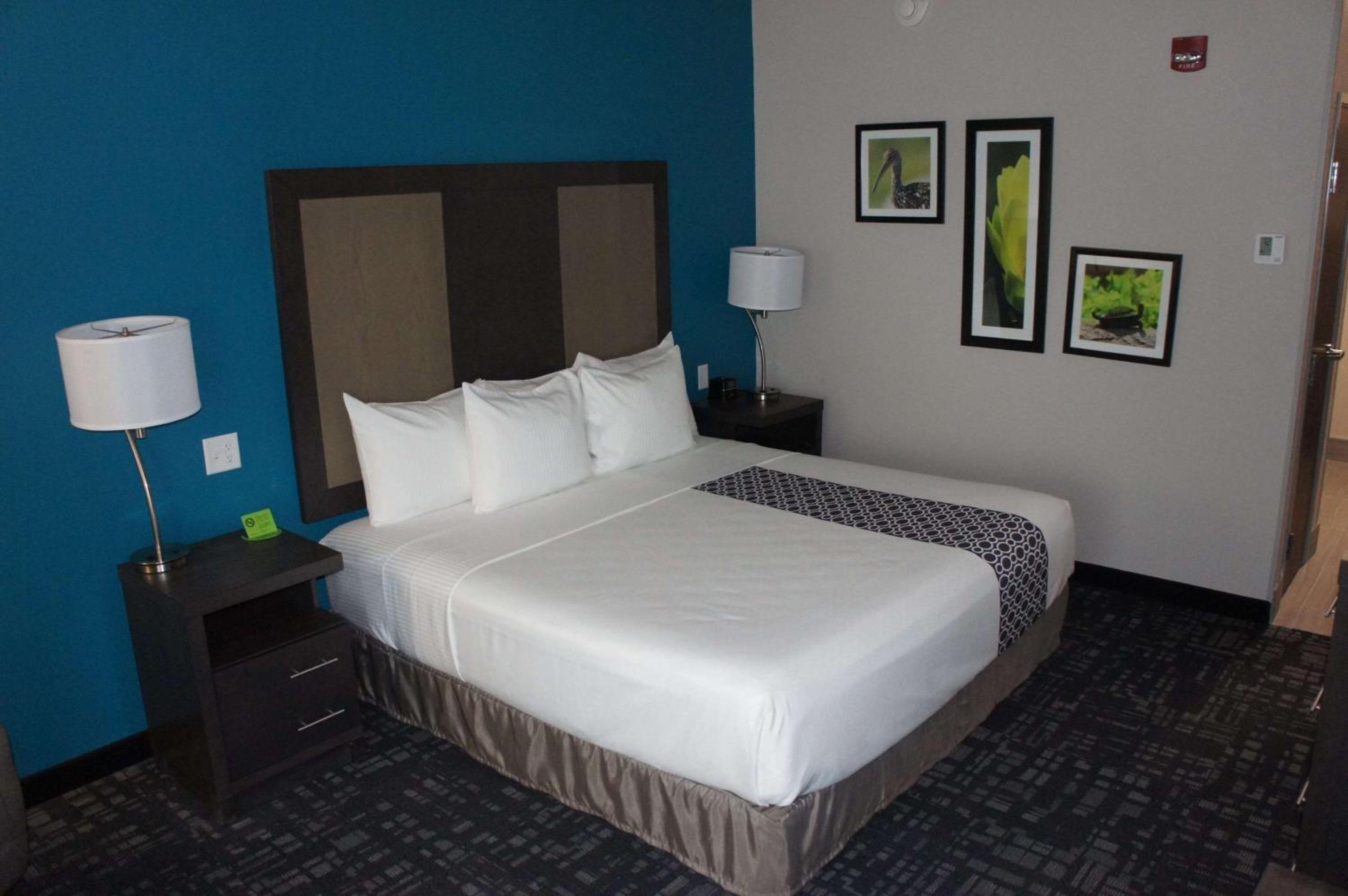 King Room With Roll-In Shower - Mobility Access/Non-Smoking photo 1