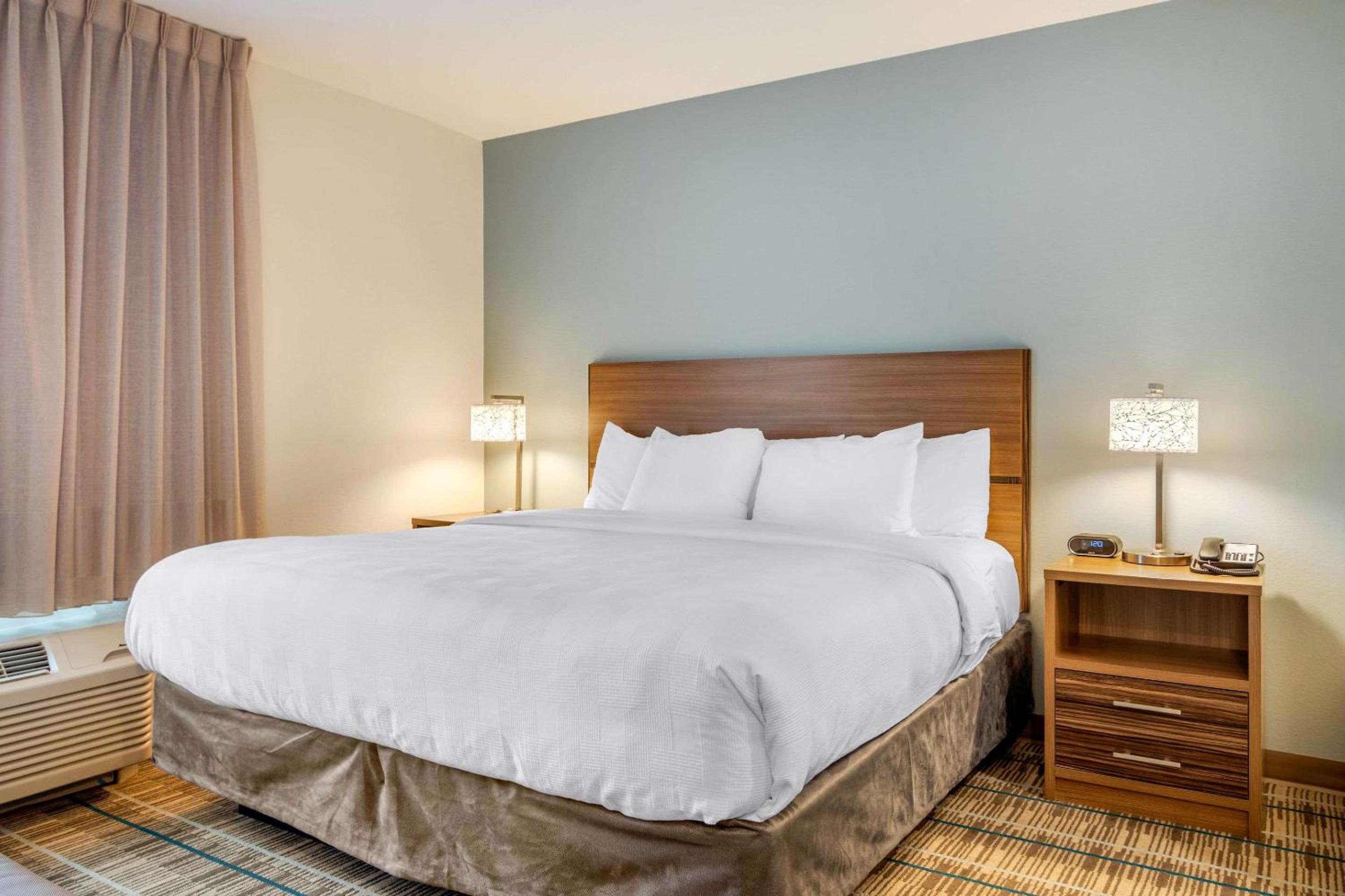 One-Bedroom King Suite with Sofa Bed photo 2