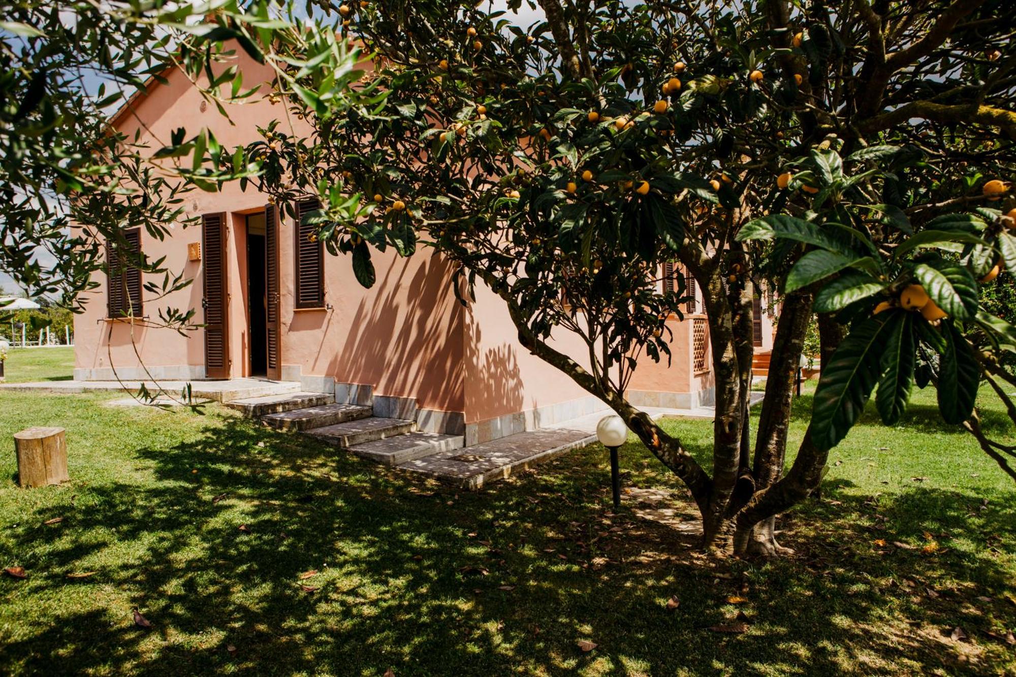 Apartment - Ground Floor photo 2