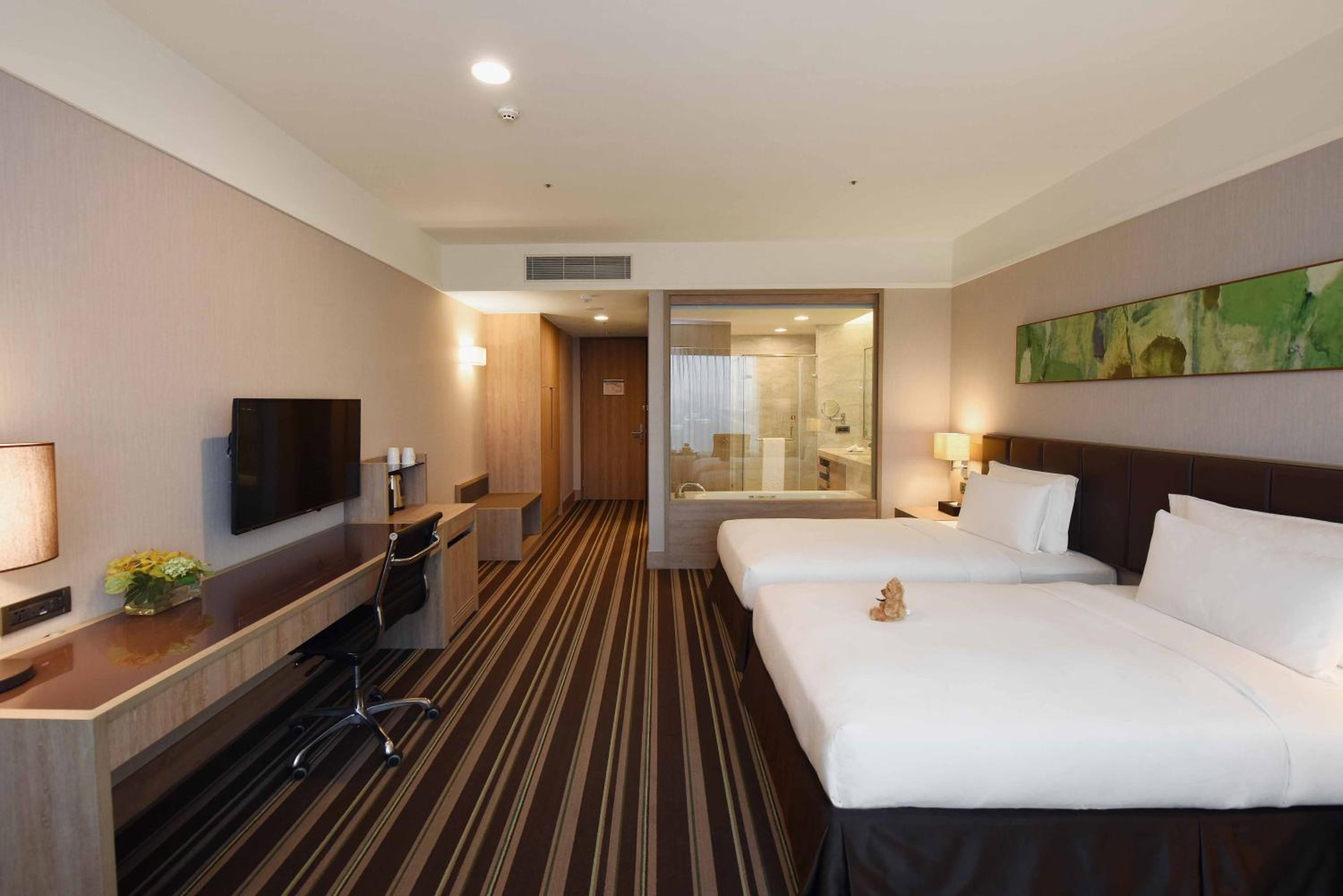 Twin Room photo 3