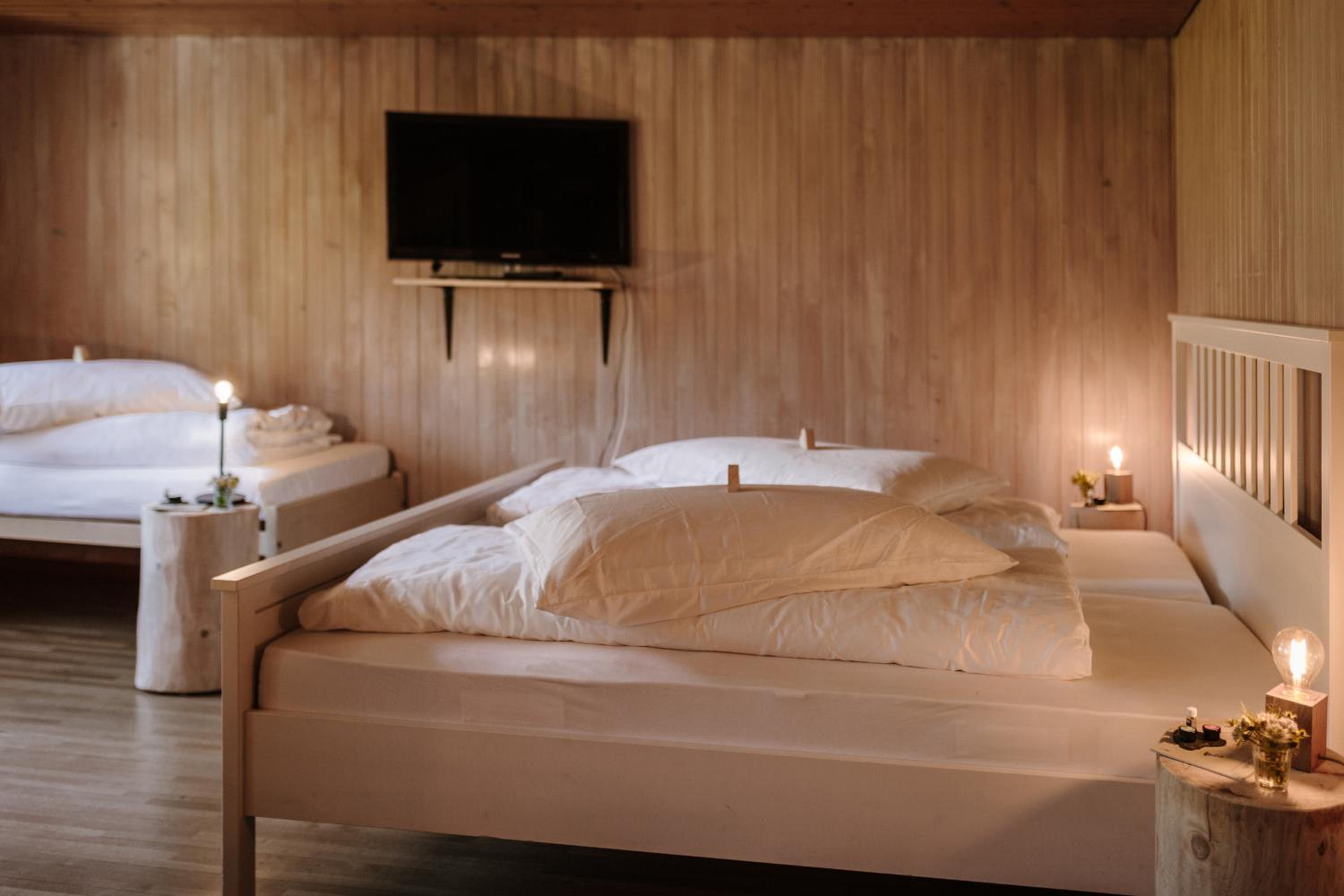 Triple Room with Mountain View photo 2