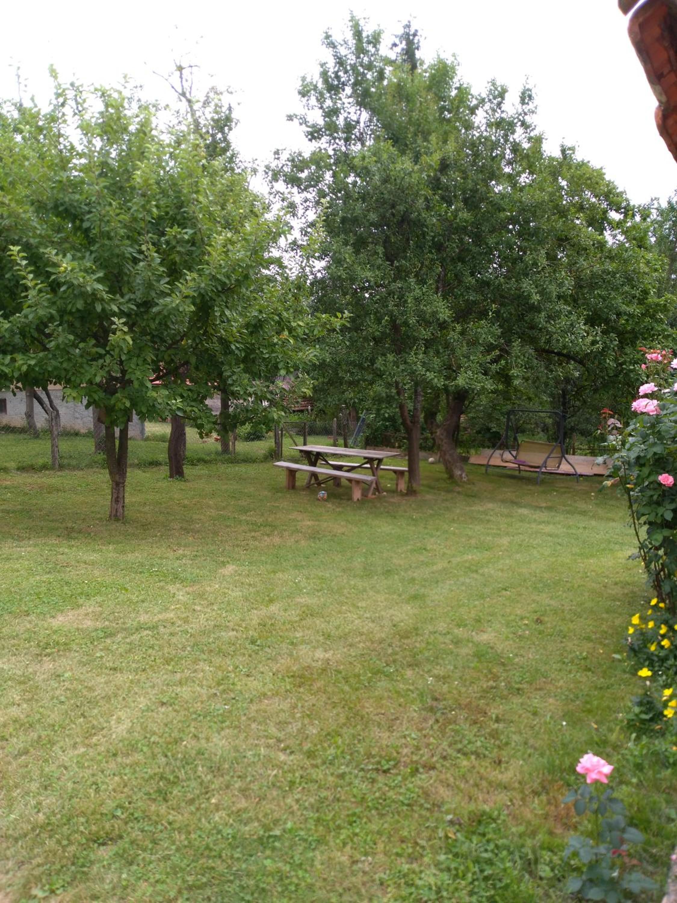 Apartment - Photo 16